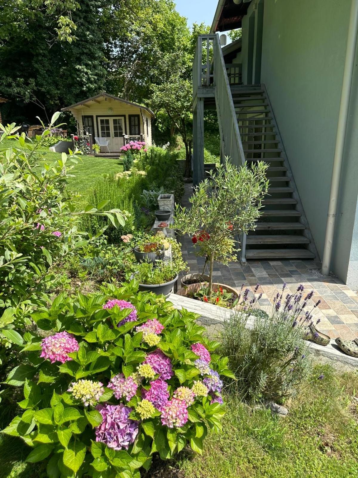 LizMari view 3