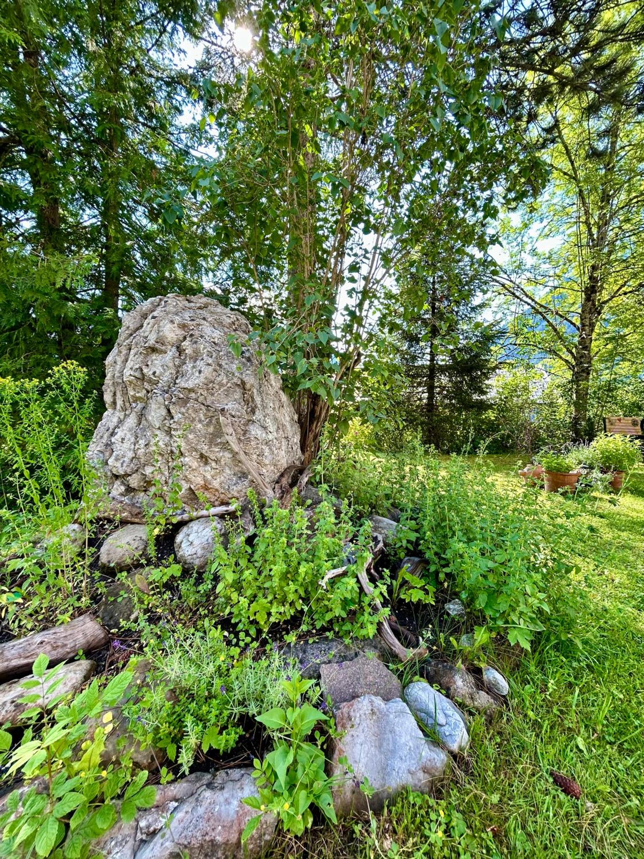 WOLF RETREAT Apartments im Lechtal davor Appartementhaus Michaela