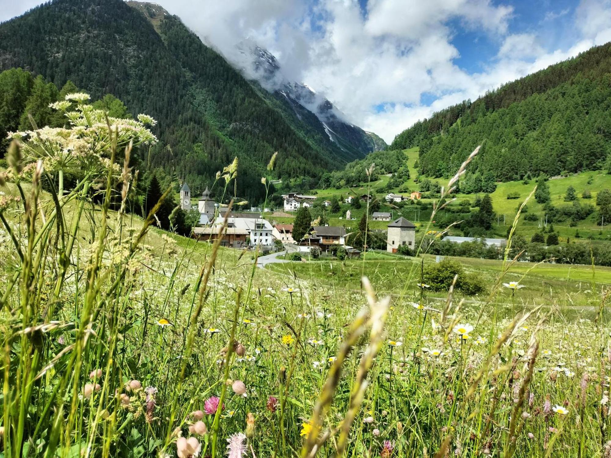 B&B im Ökohaus in Susch