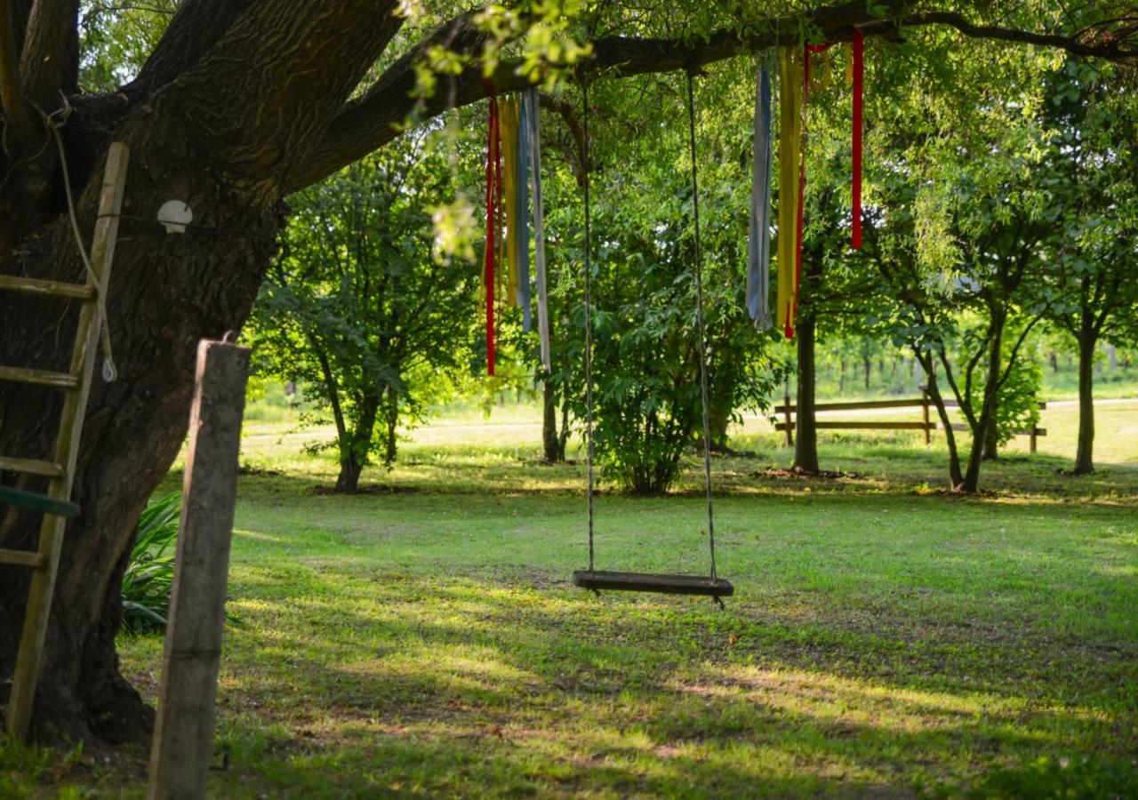 Photo 47
