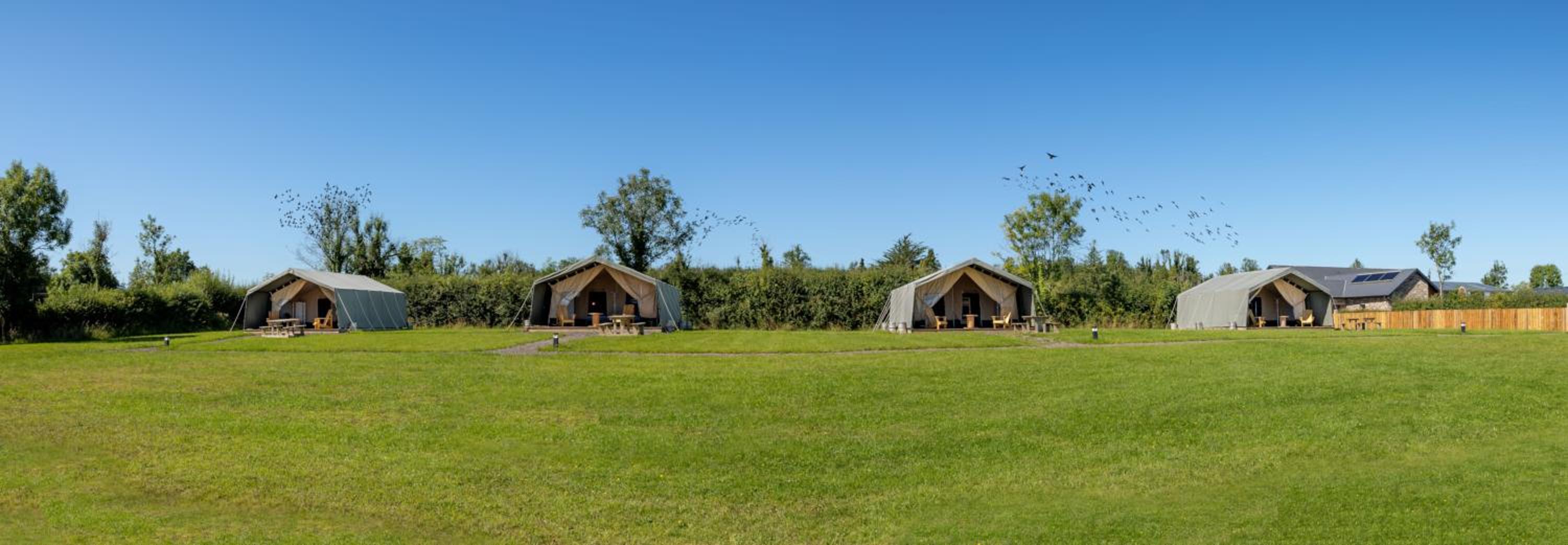 Glamping Safari Style