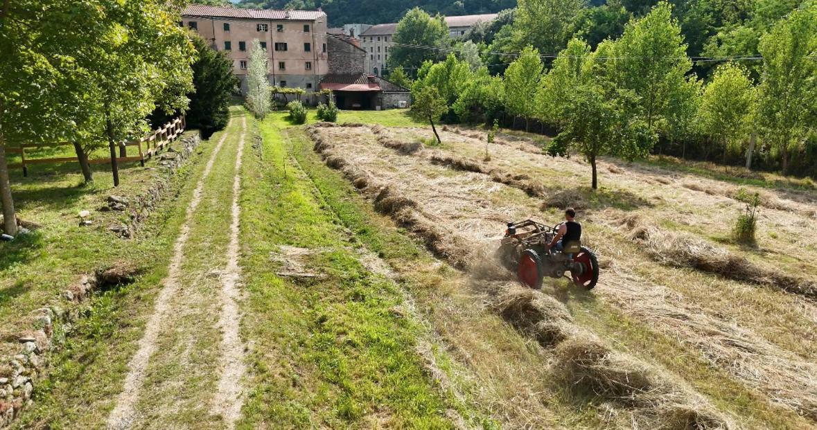 Lunigiana Experience