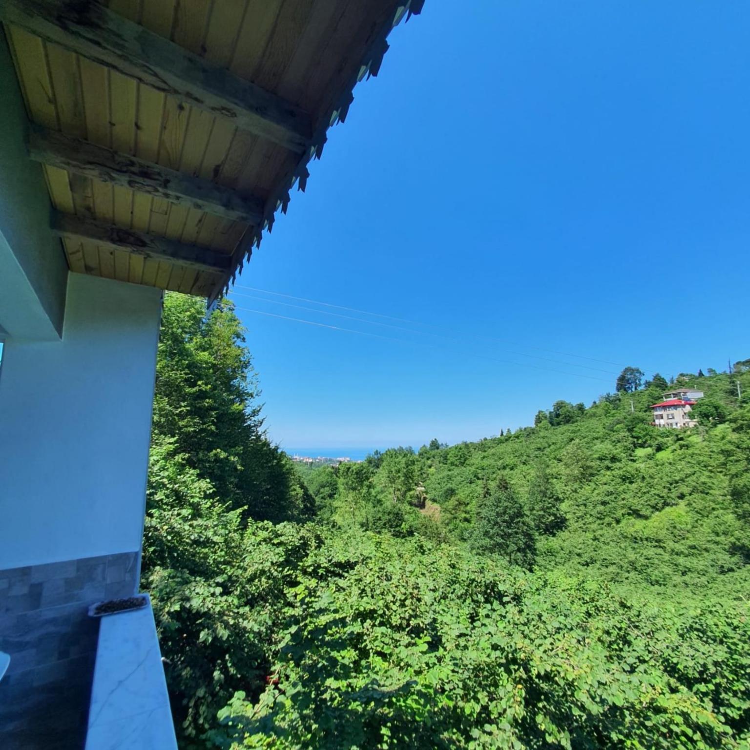 Cennet bahçesi