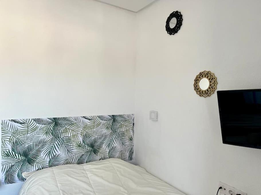 Estudio Céntrico en Alicante