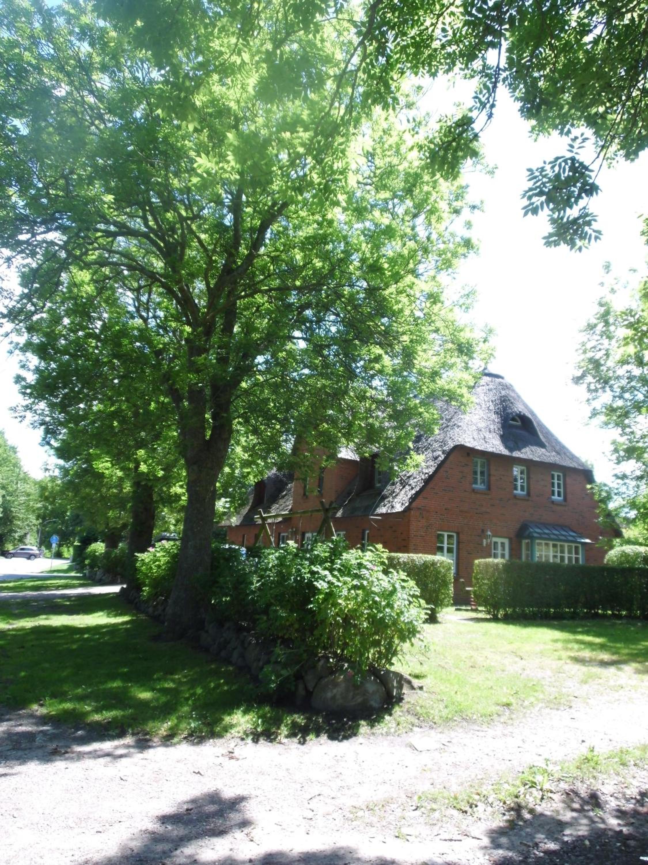 Gesa in Boldixum