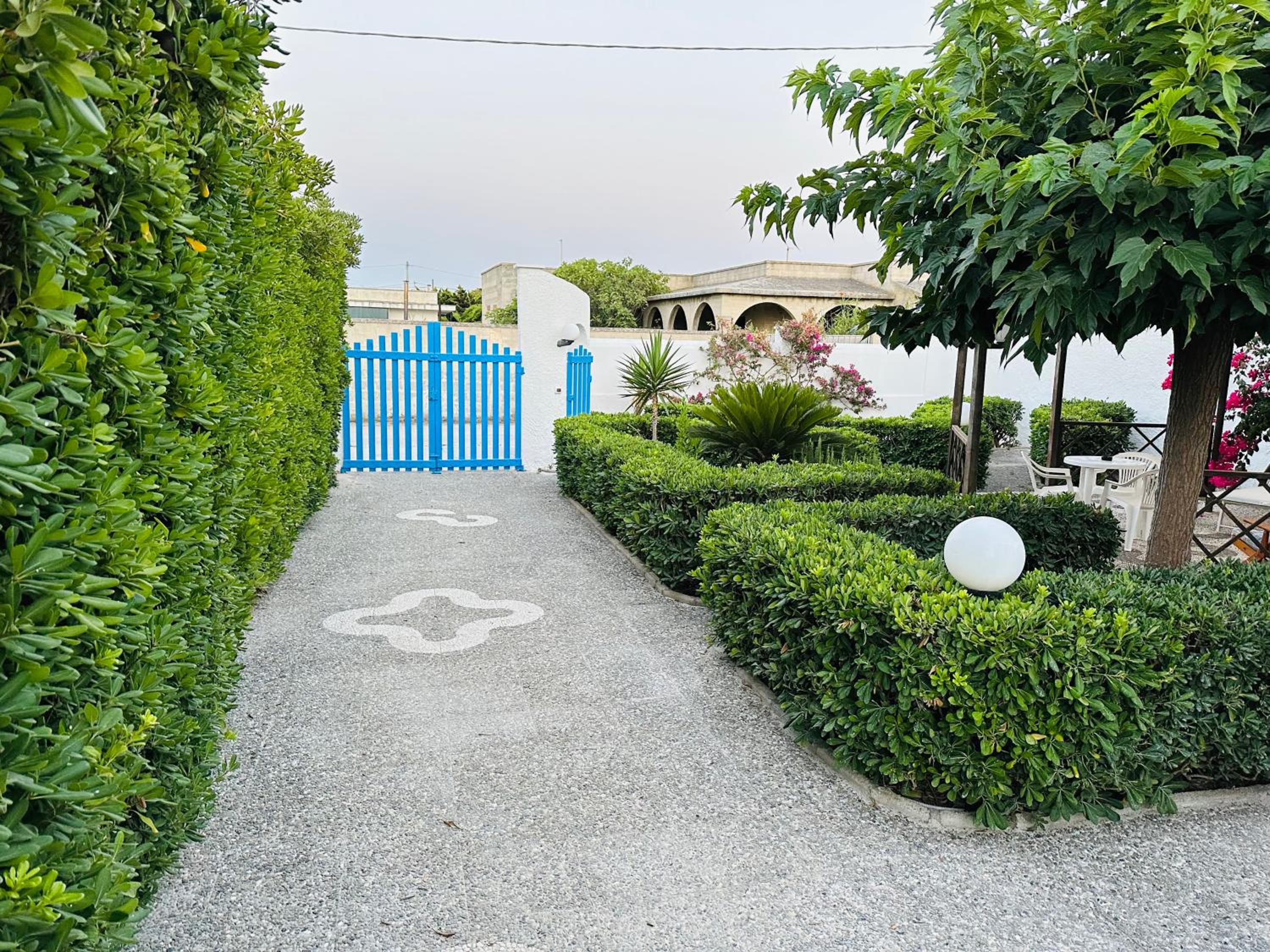 Photo 6