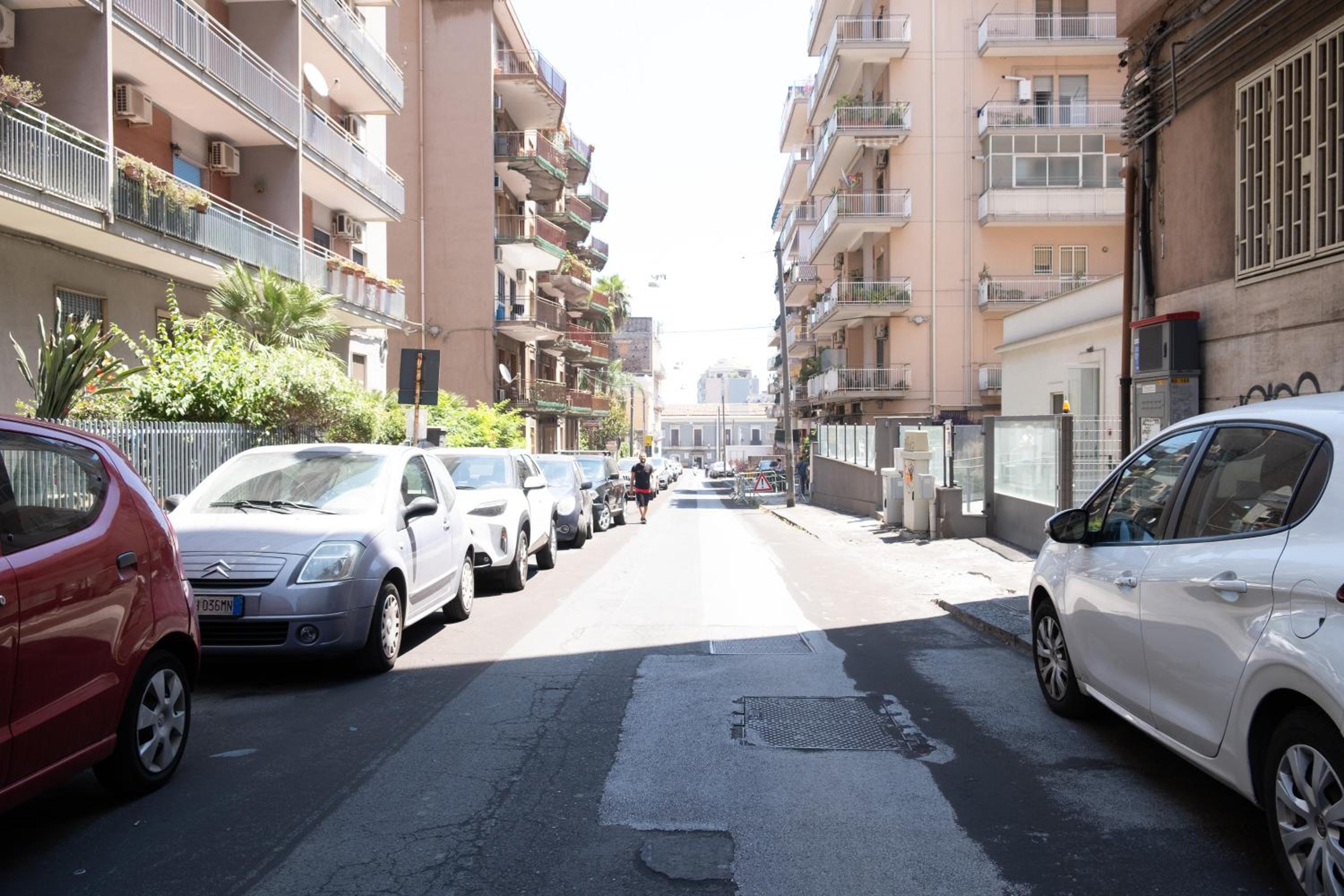 Adelina House photo 4