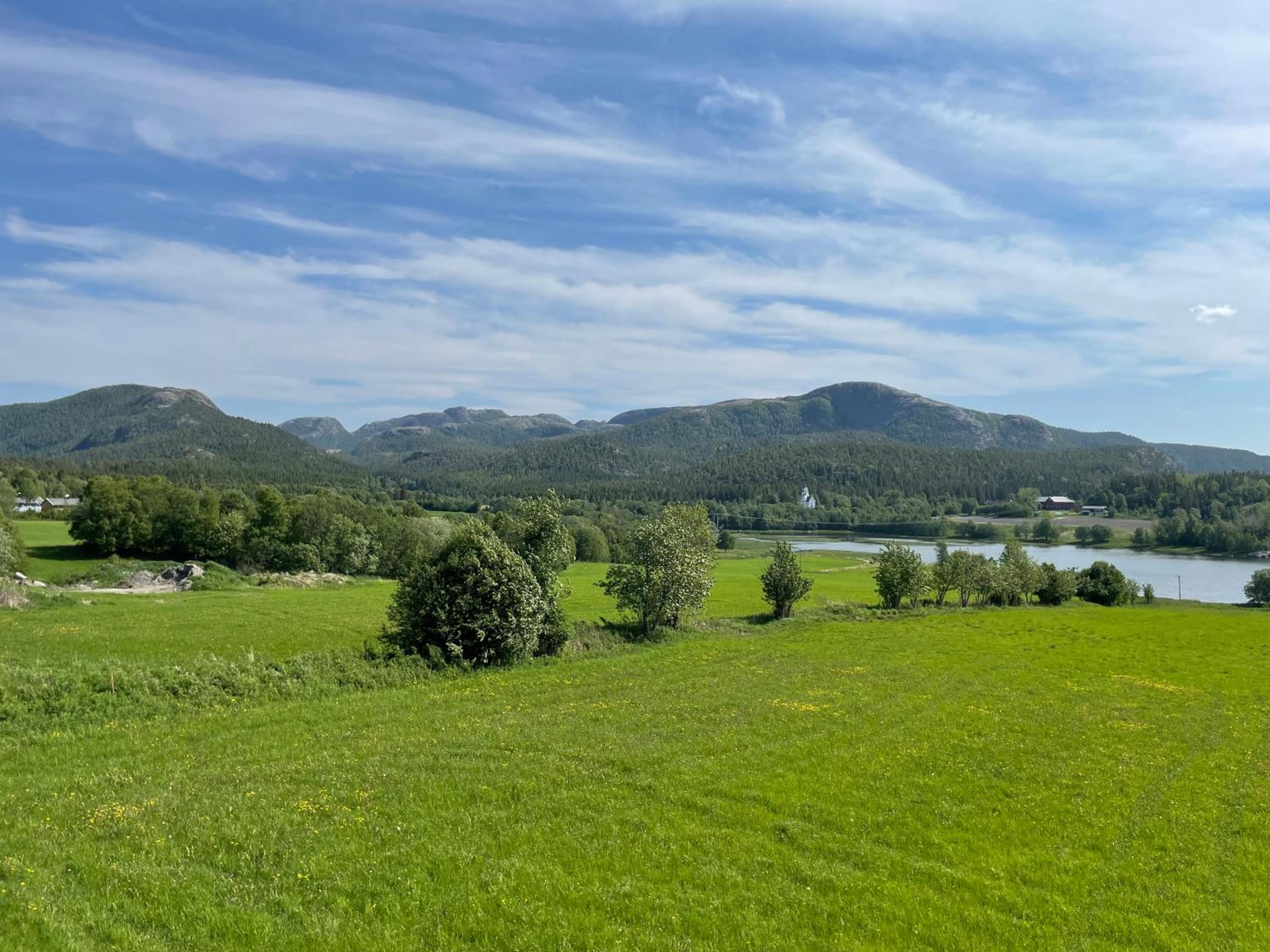 Stenegården