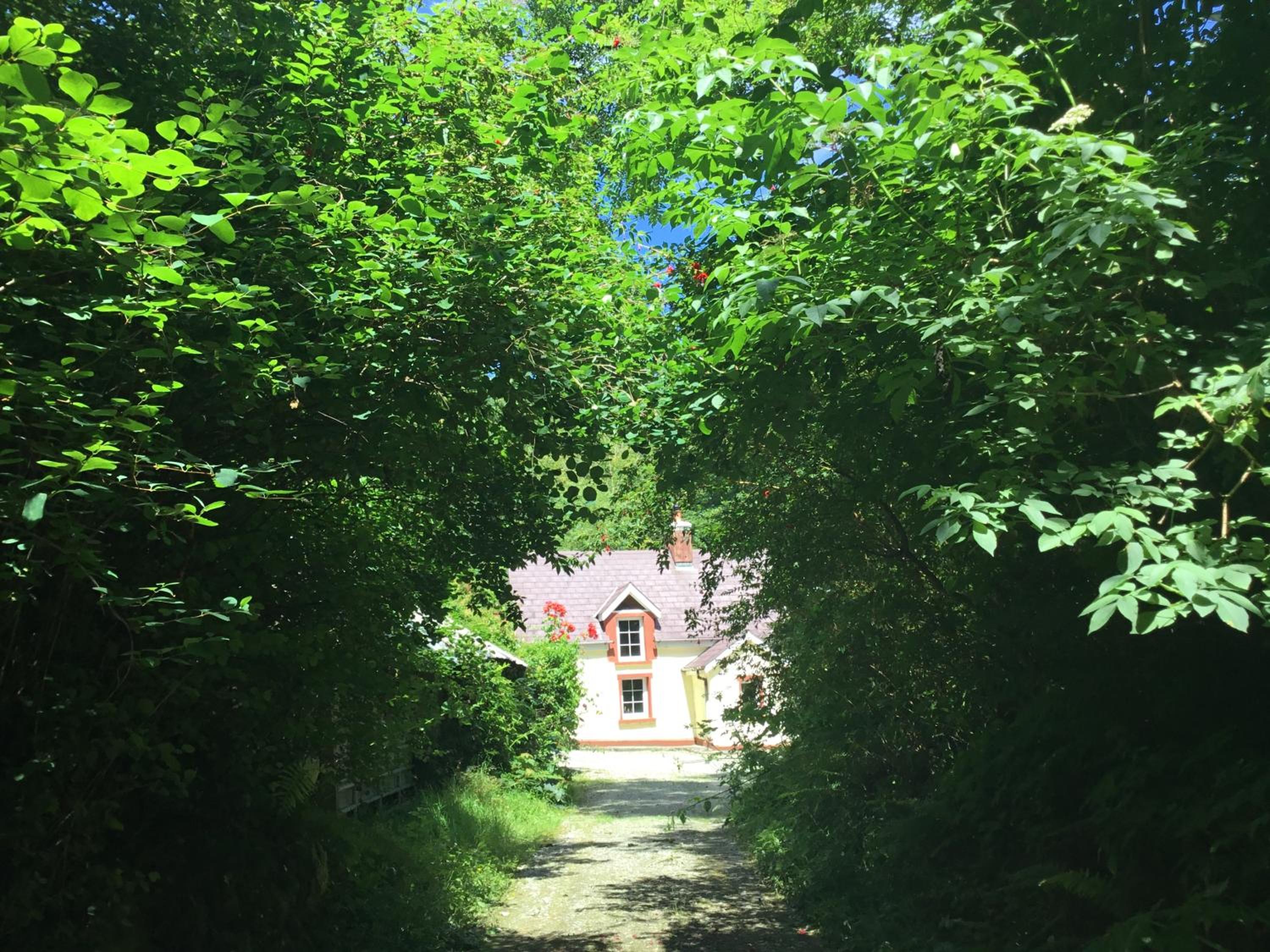 Alderlane cottage