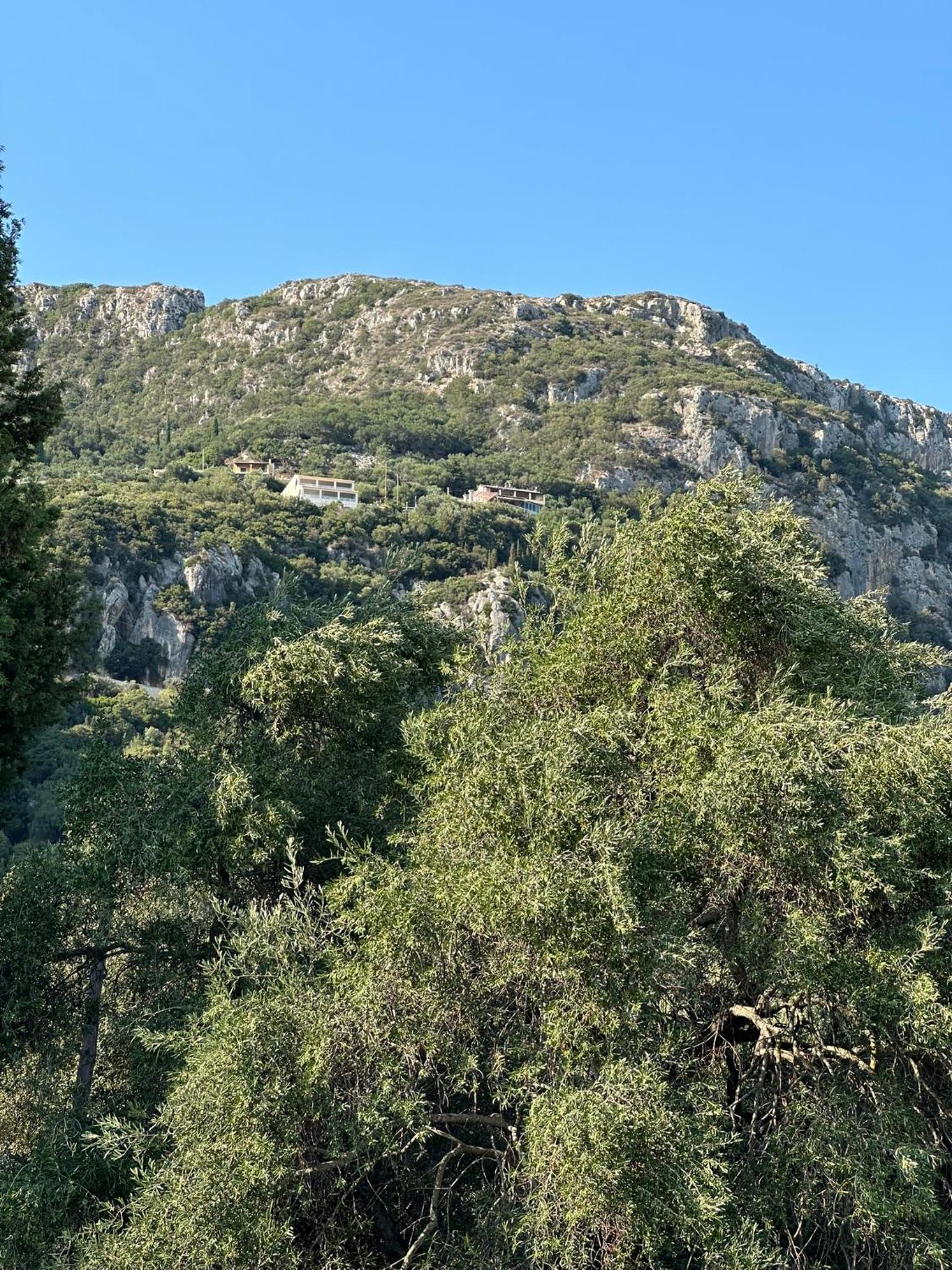 Photo 24