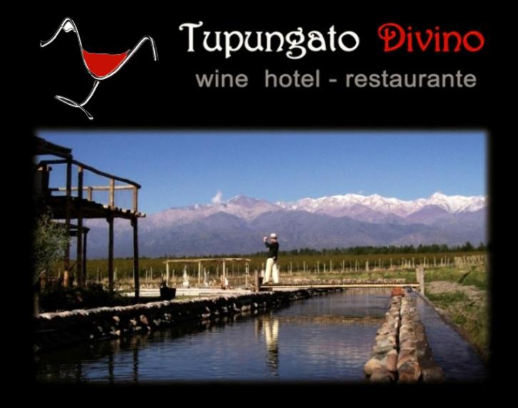 Tupungato Divino