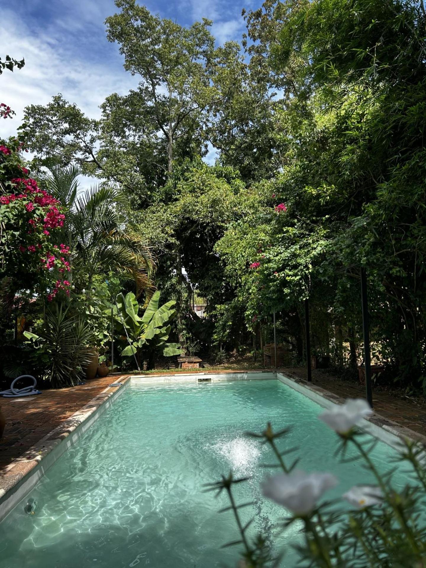 oasis en la ciudad