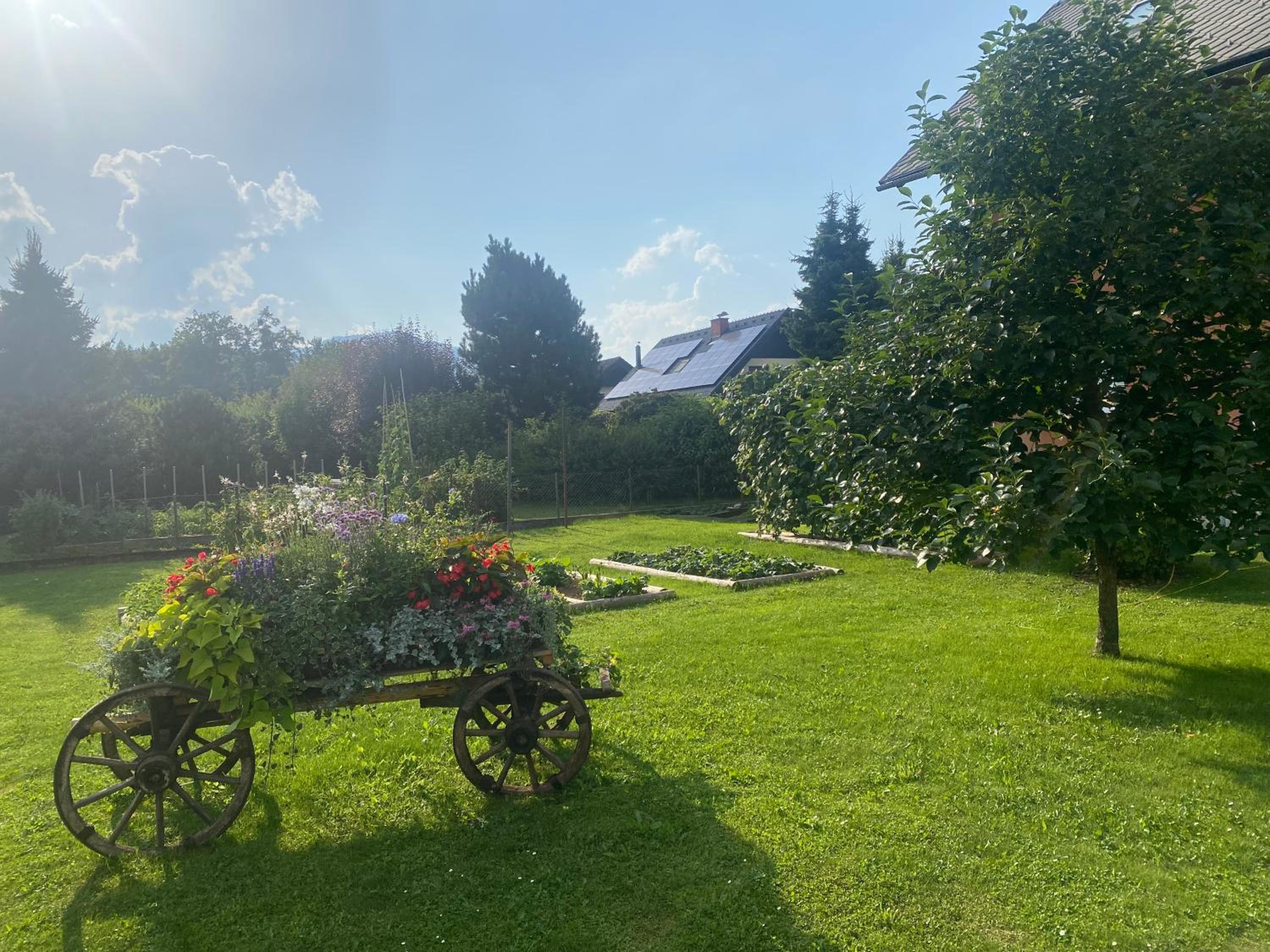 Apartma Tatjana