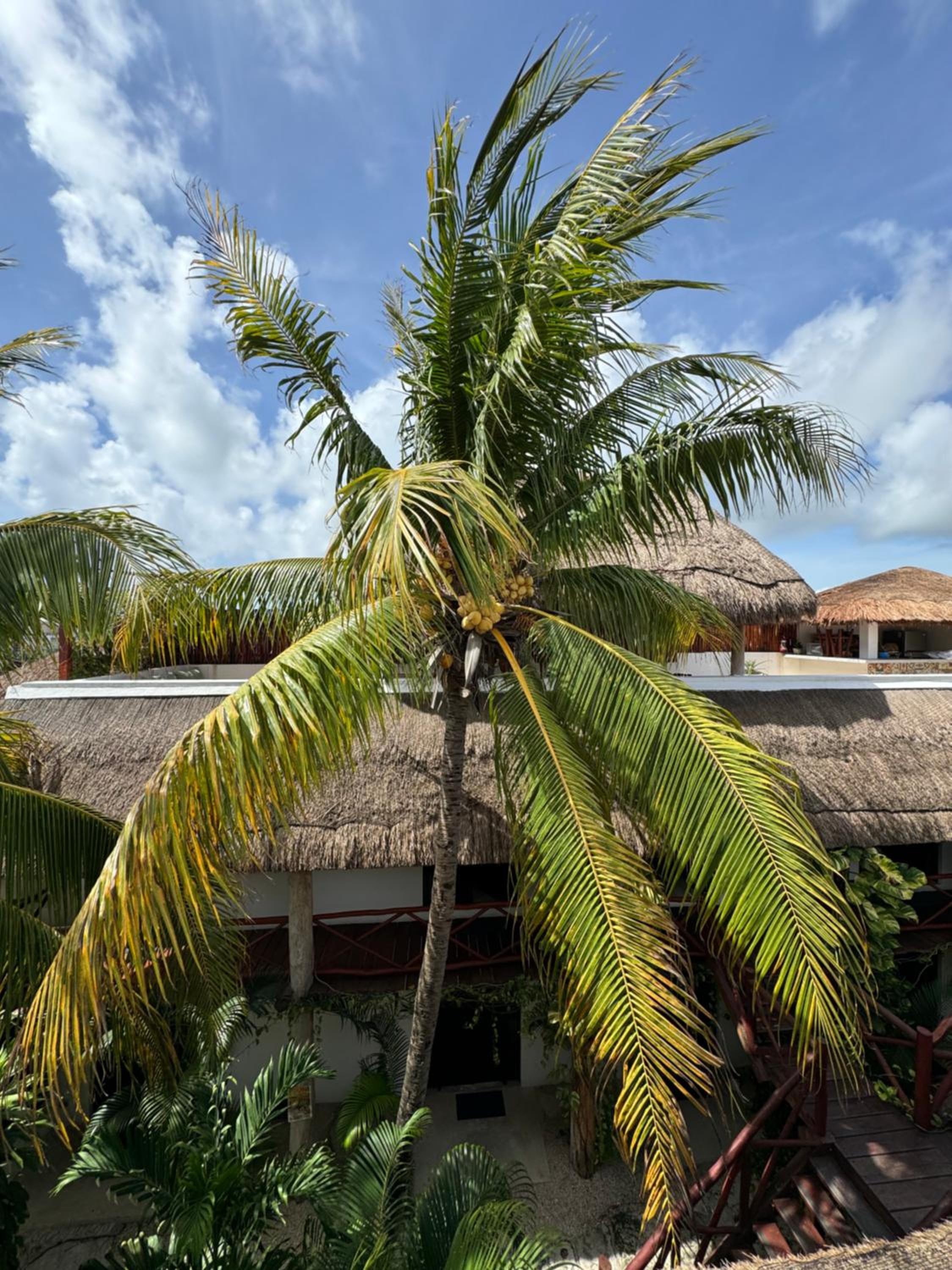 Kin Ha Tulum Hotel