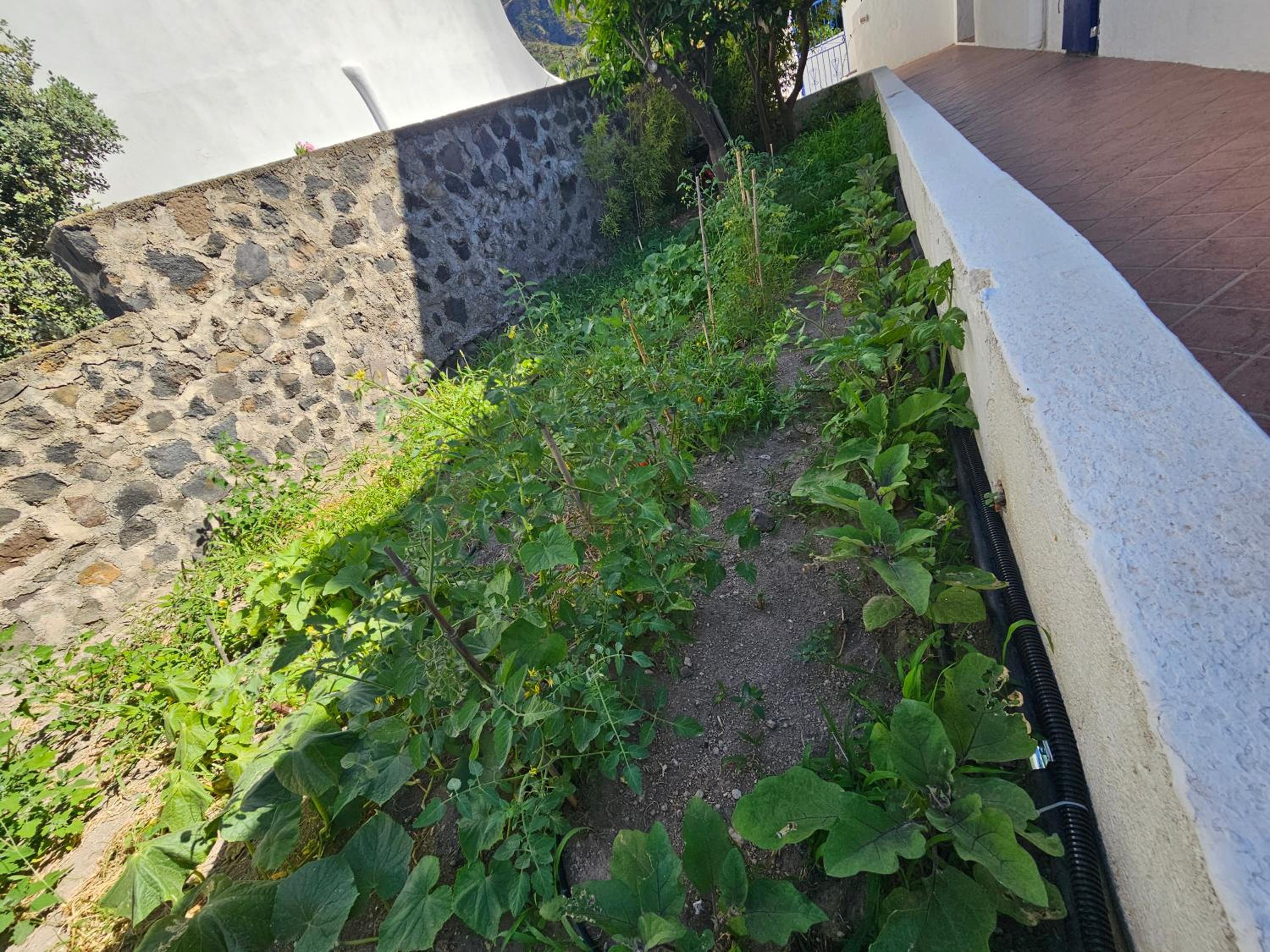 Photo 45