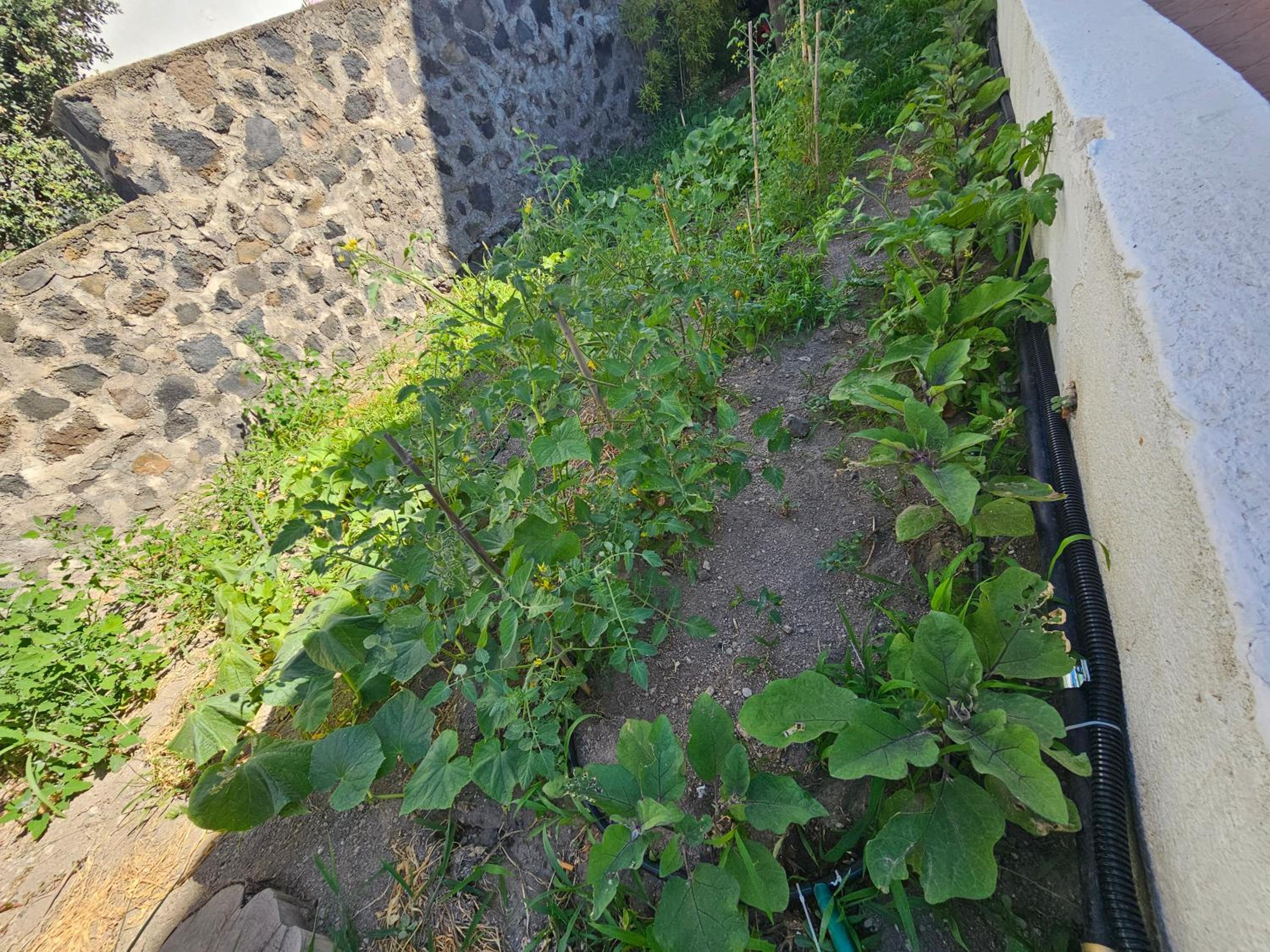Photo 44