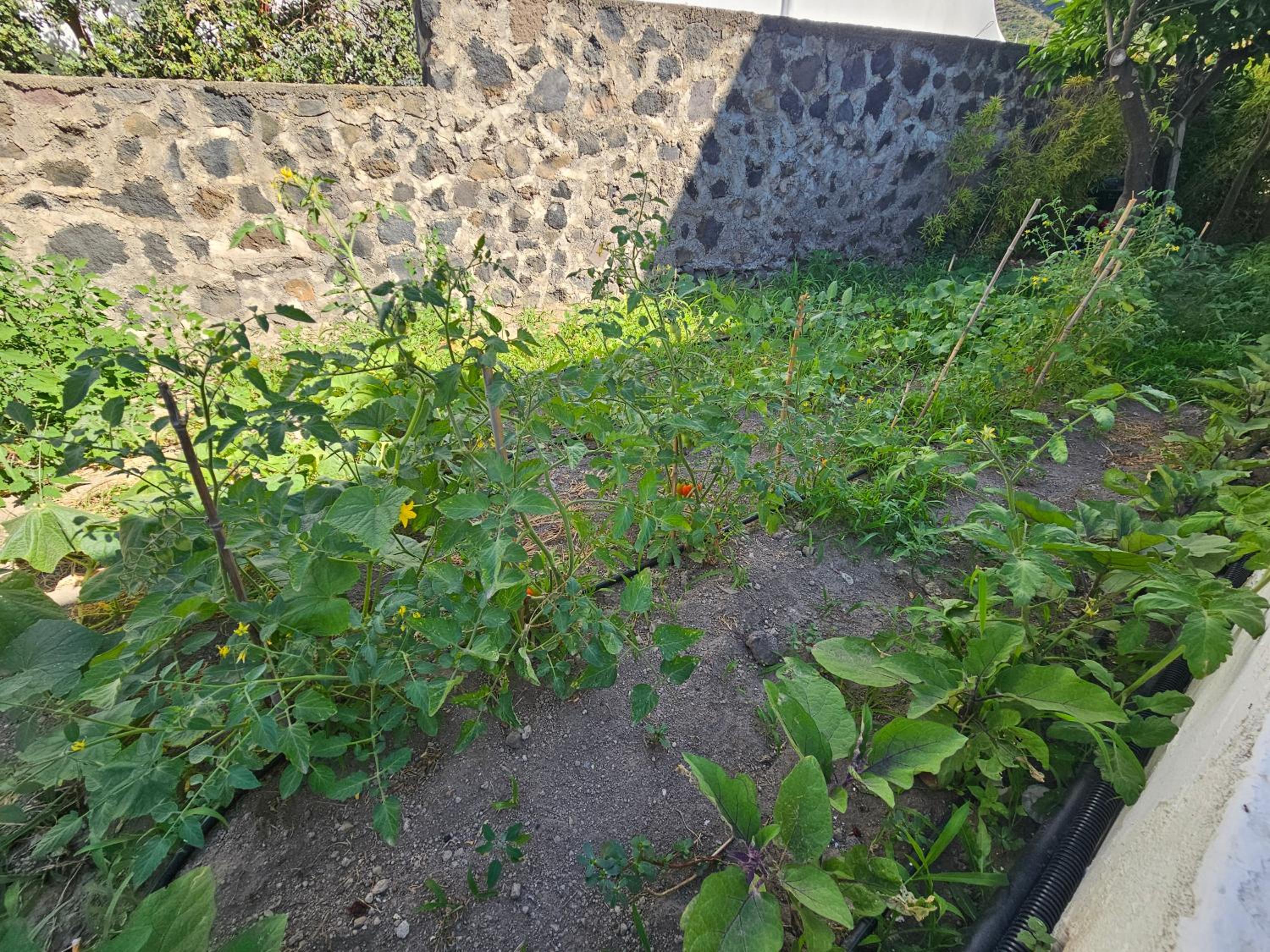 Photo 43