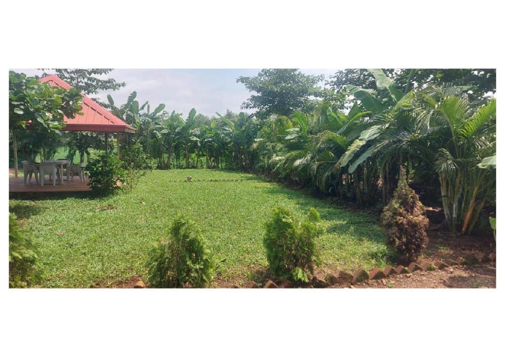 Ozone Farmhouse