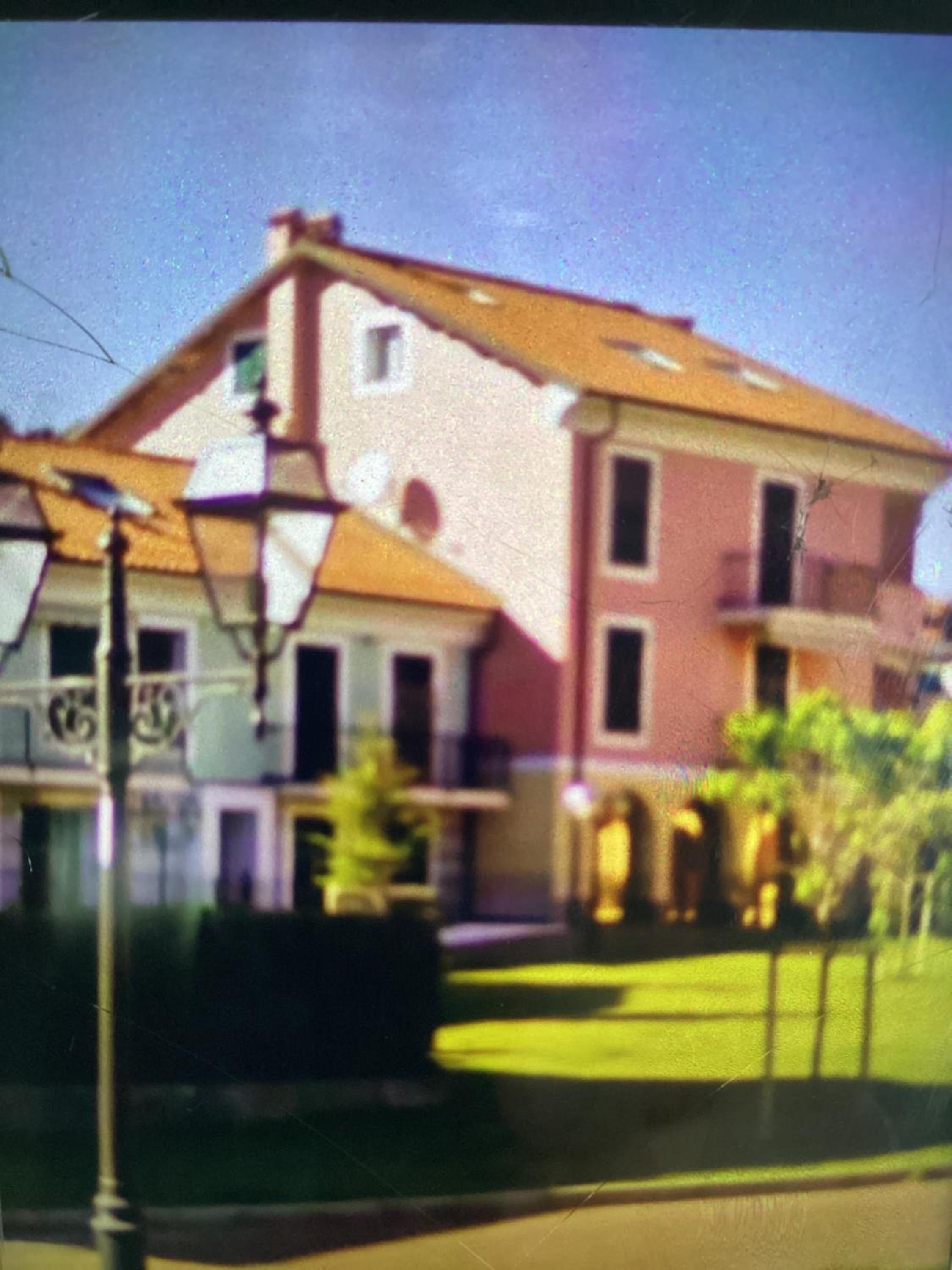 Ginestra