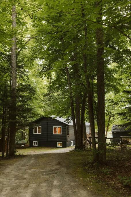The Fox Lakefront Cottage with PrivateBeach and Sauna