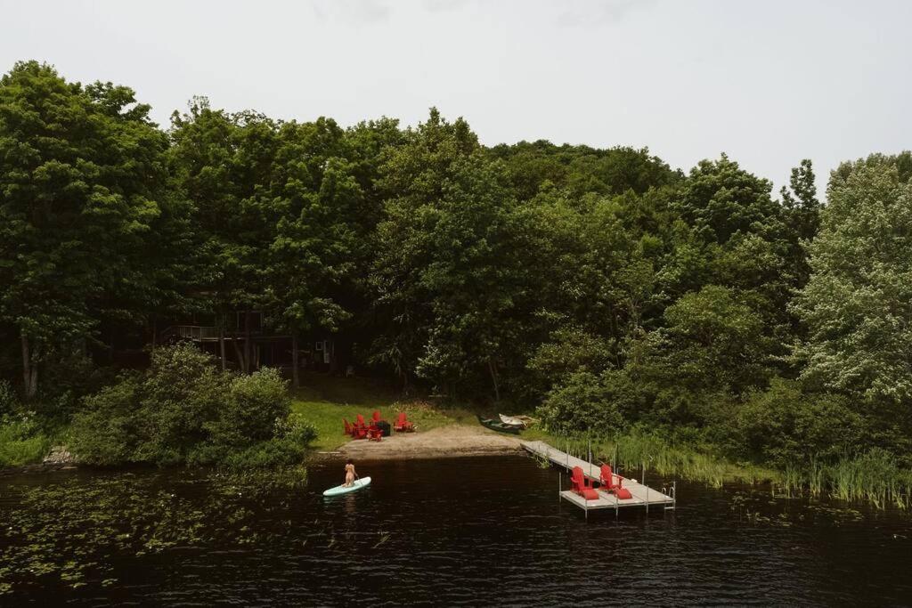 The Fox Lakefront Cottage with PrivateBeach and Sauna