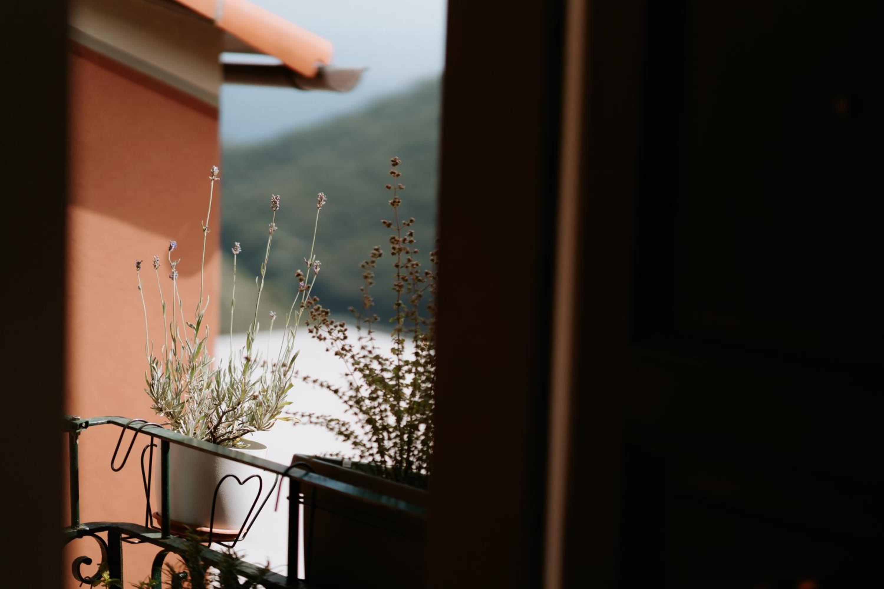 Il Castagno holiday home view 5