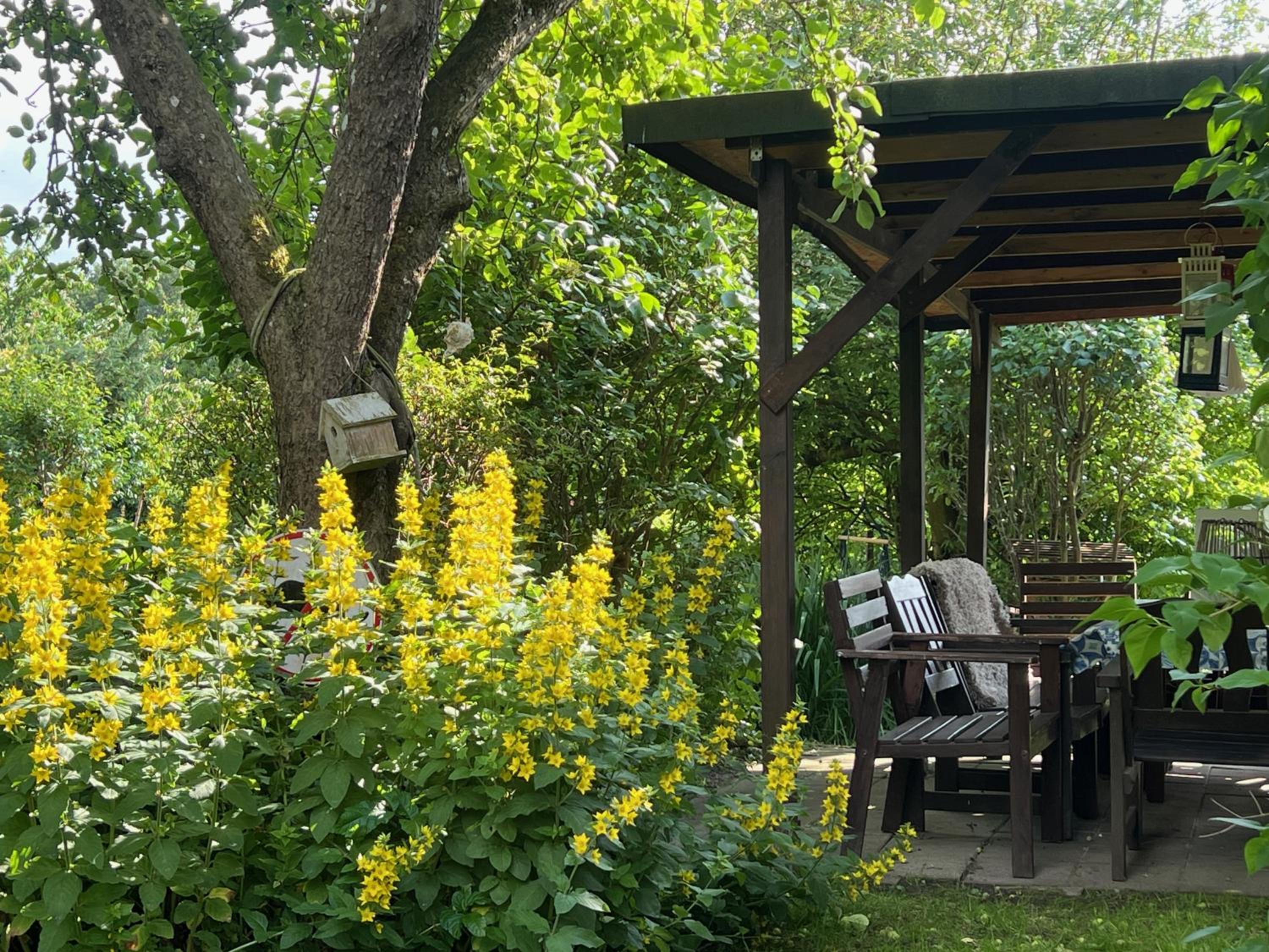 Alte Kate mit Bau-& Zirkuswagen im Gartenidyll in Putbus OT Kasnevitz