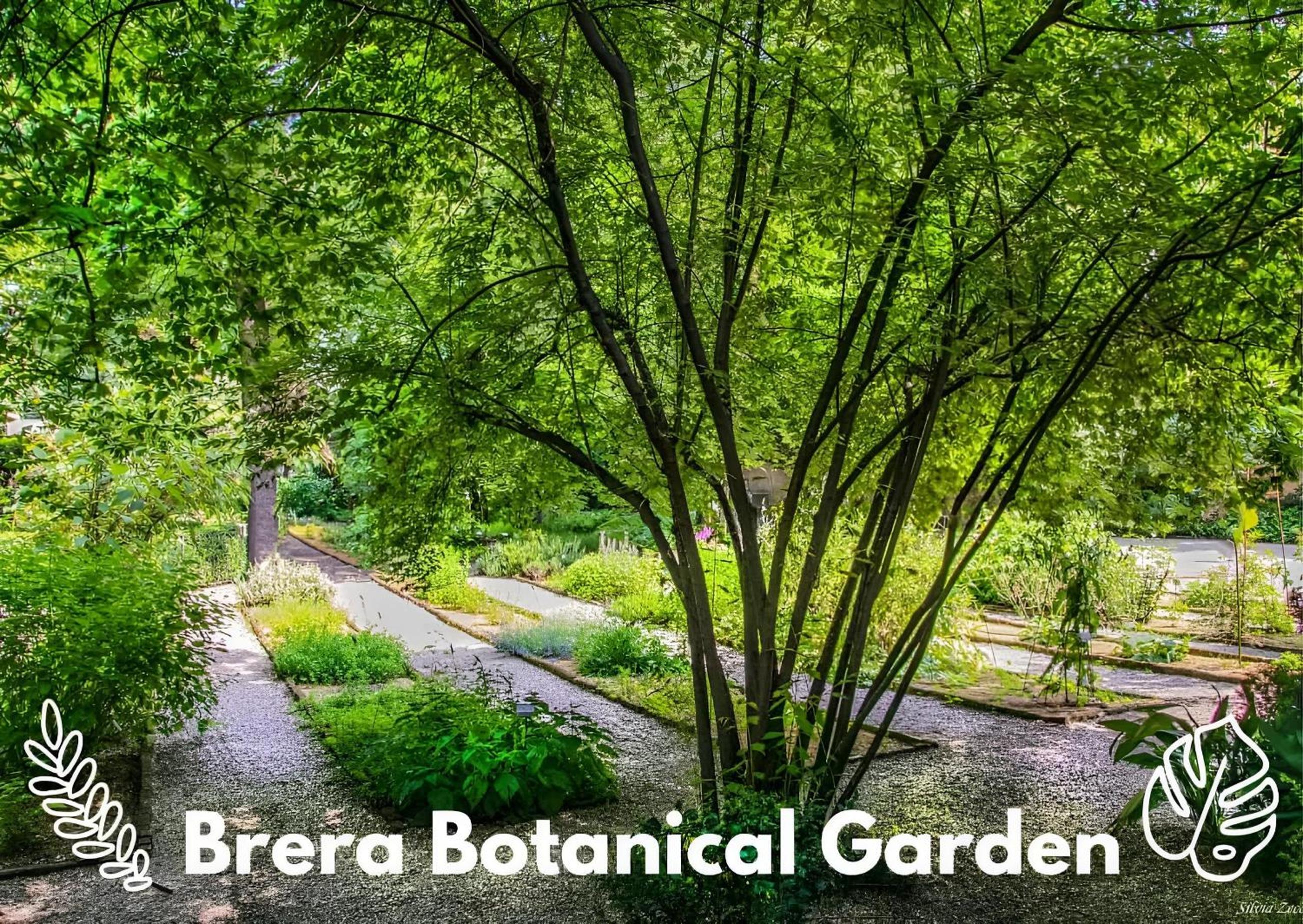Brera VIP SpotLight - Brera - Duomo - Castello Sforzesco - Lanza Metro M2