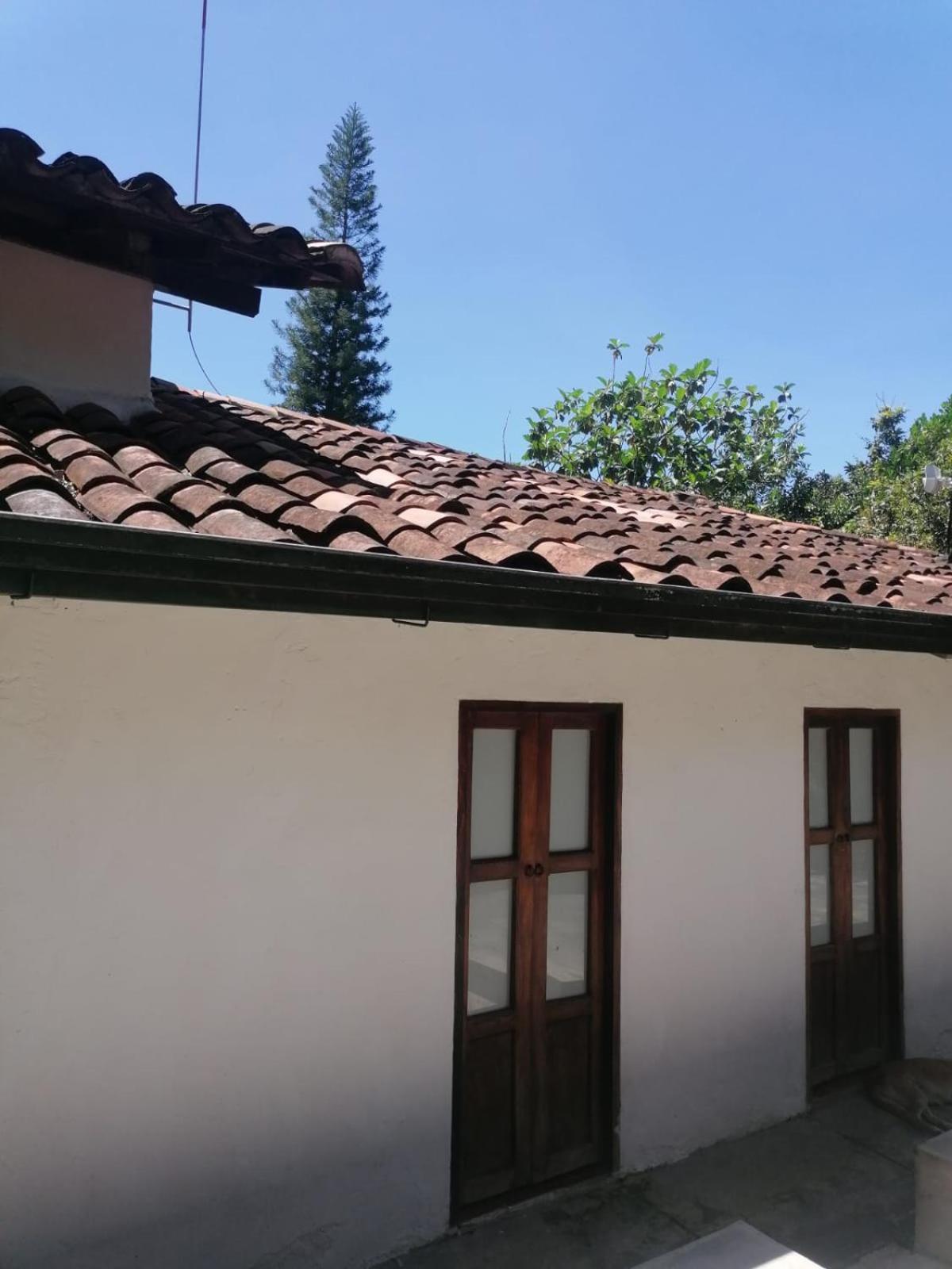 Photo 44