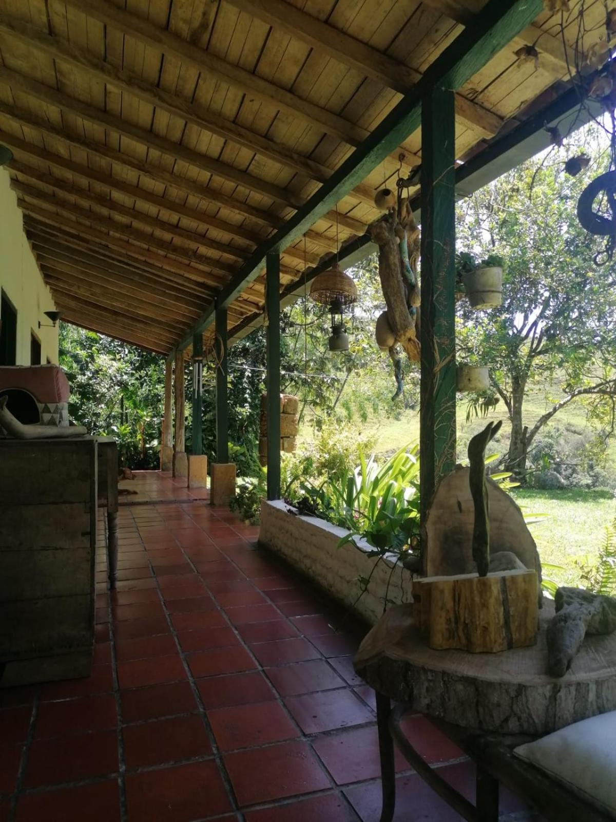 Photo 46