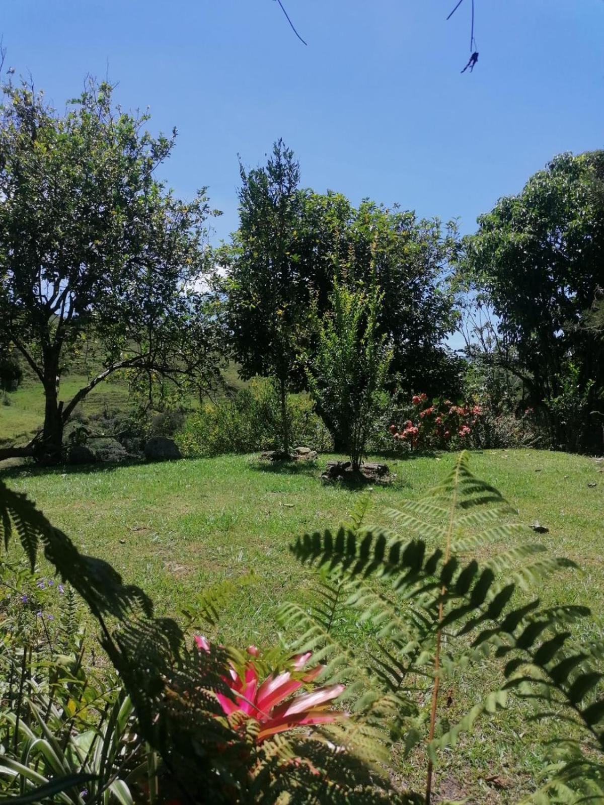 Photo 48