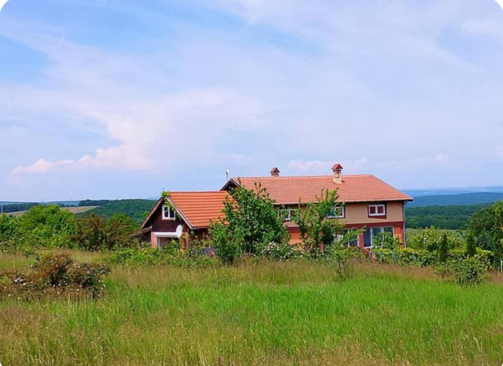 Wild house Goriza