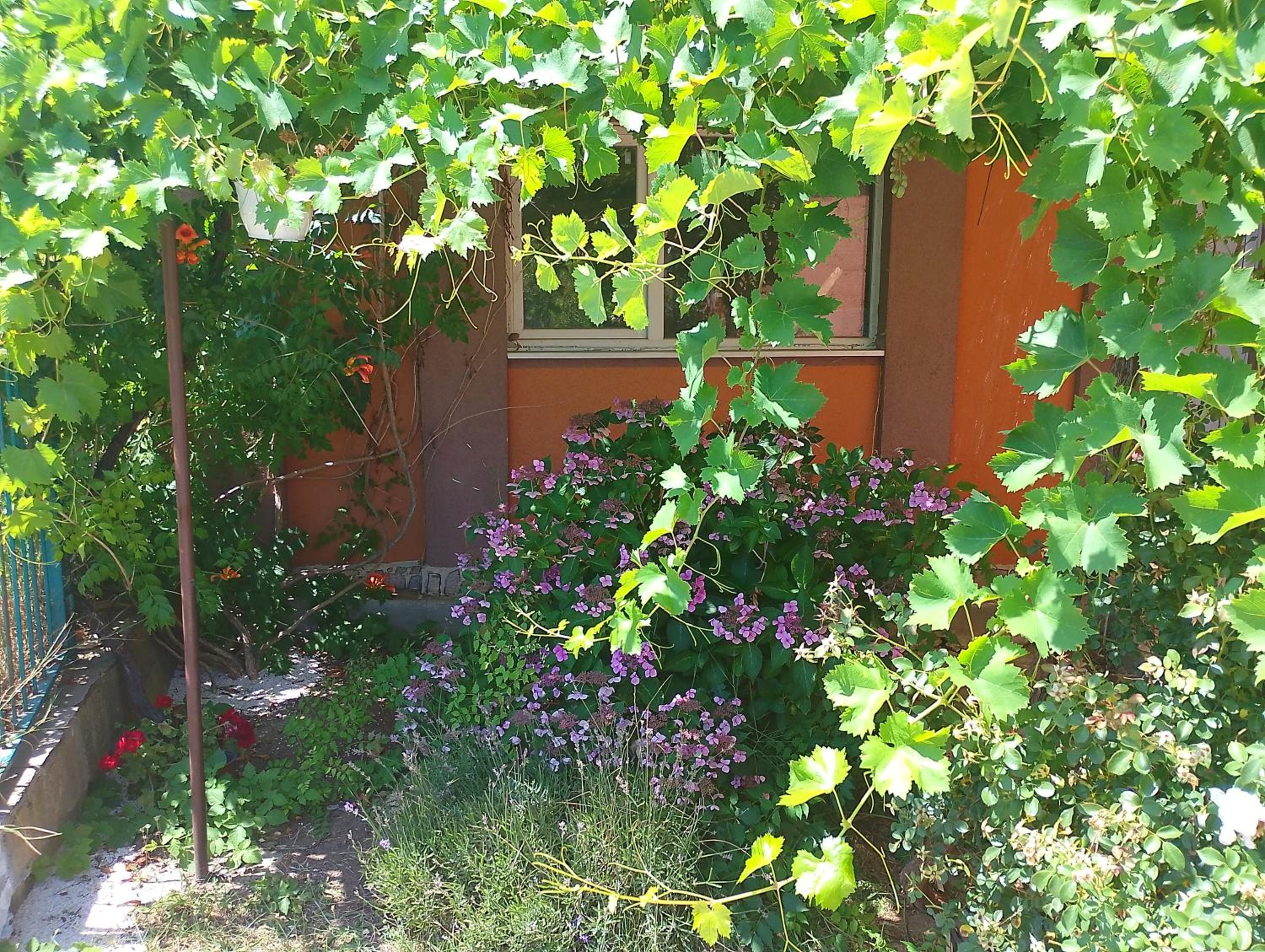 Wild house Goriza