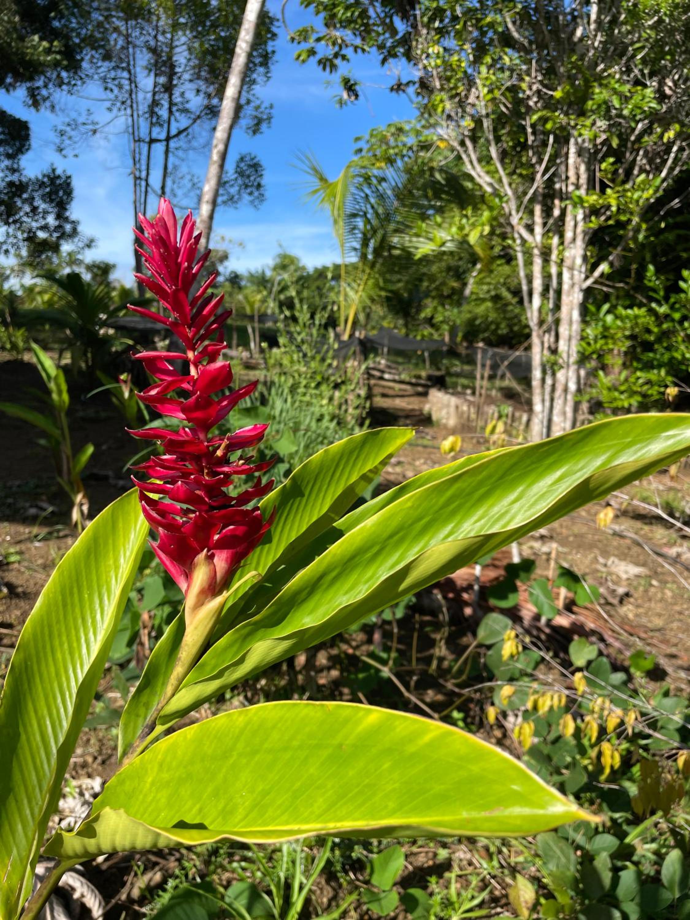 Chalé Mata & Mar Serra Grande