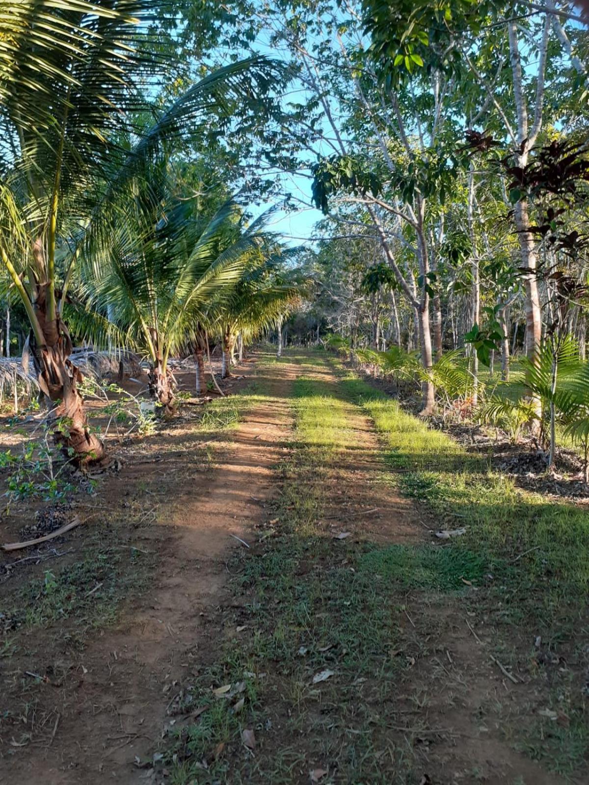 Chalé Mata & Mar Serra Grande
