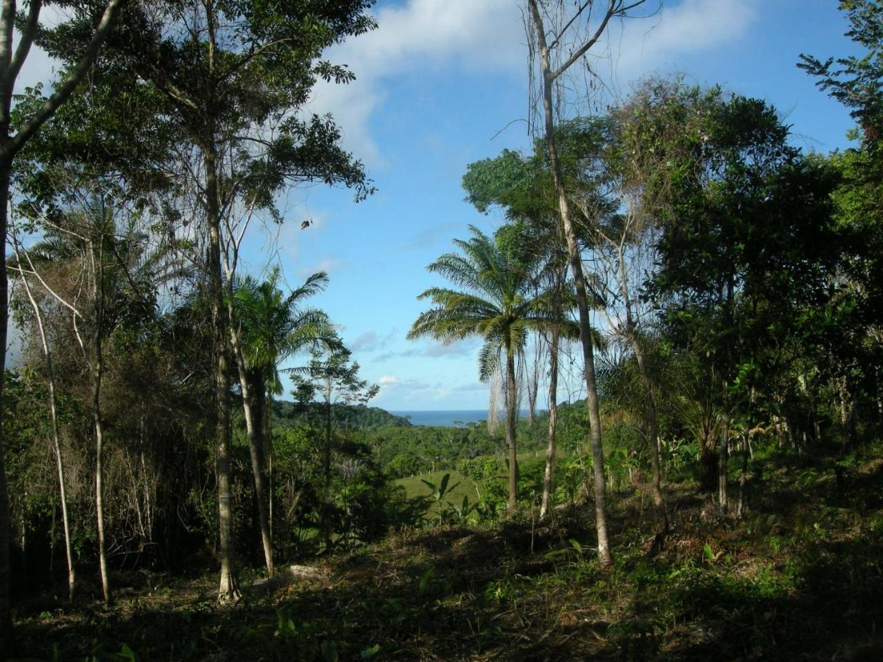 Chalé Mata & Mar Serra Grande
