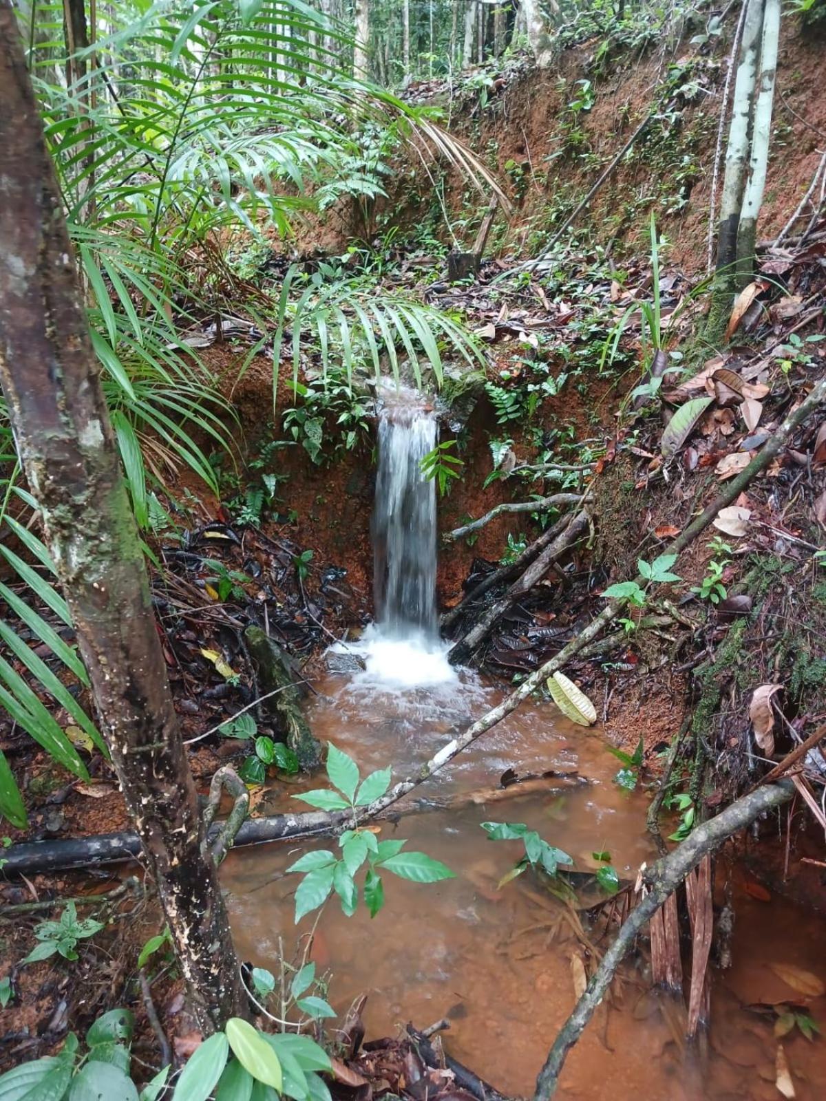 Chalé Mata & Mar Serra Grande