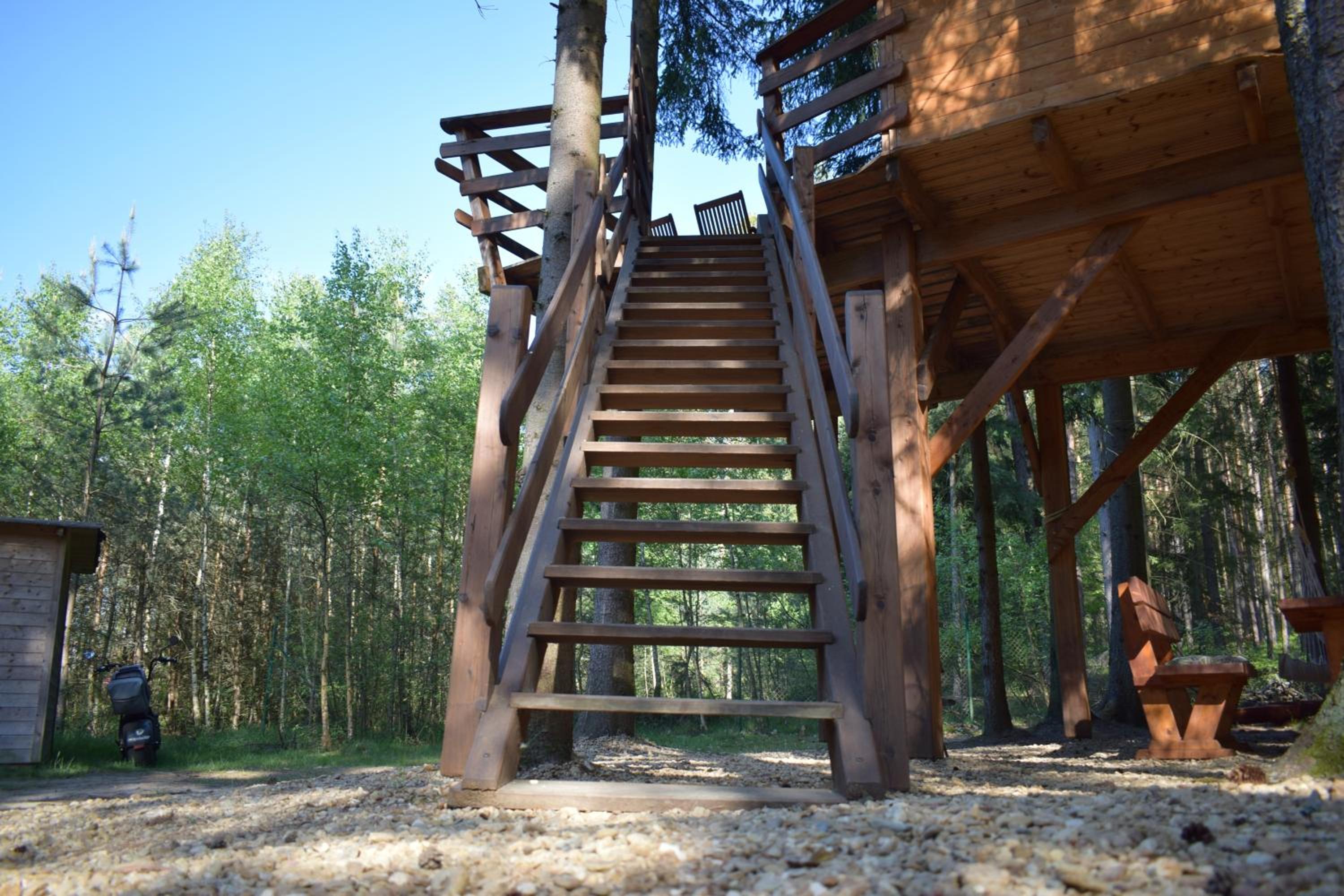 Treehouse U lesa