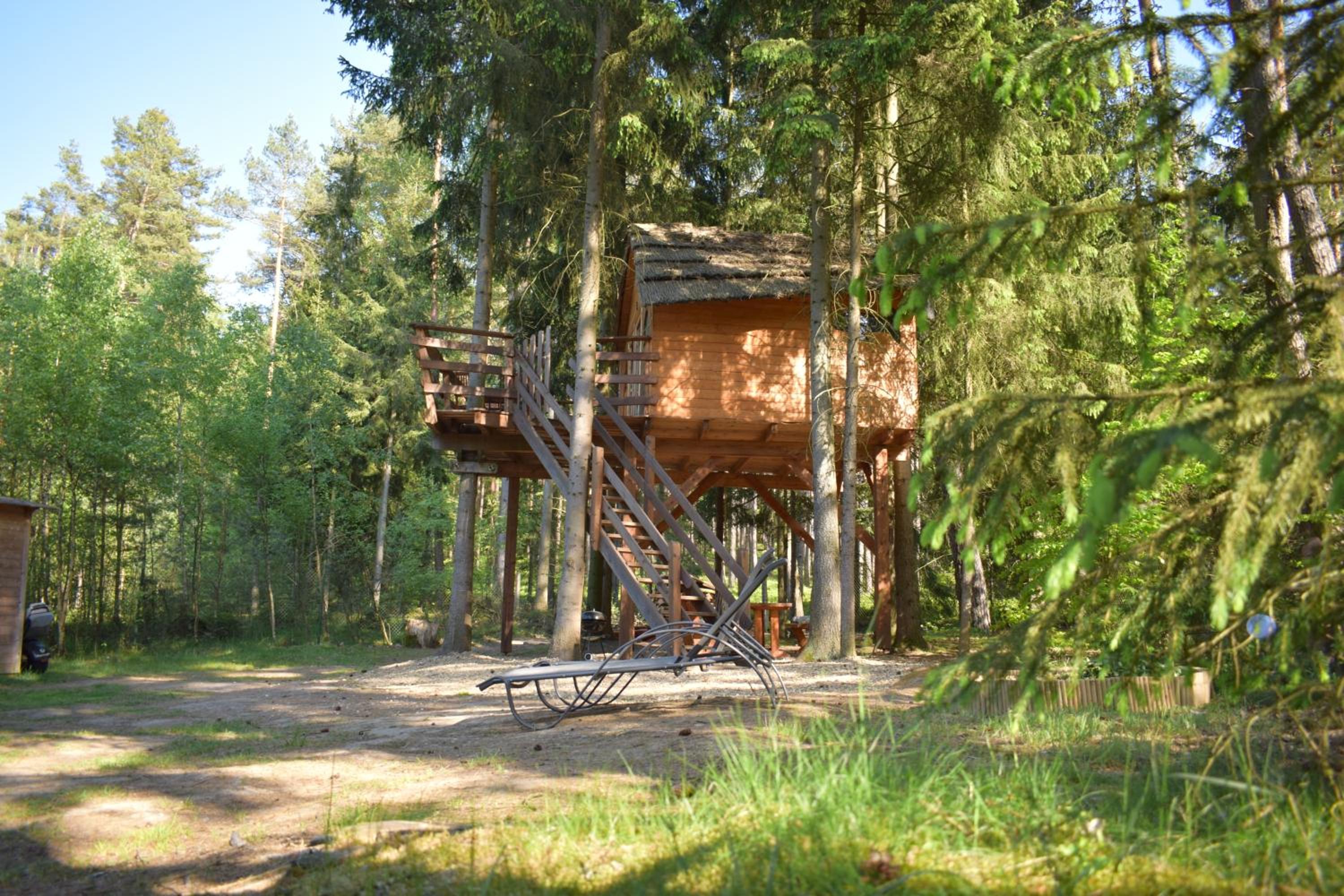 Treehouse U lesa