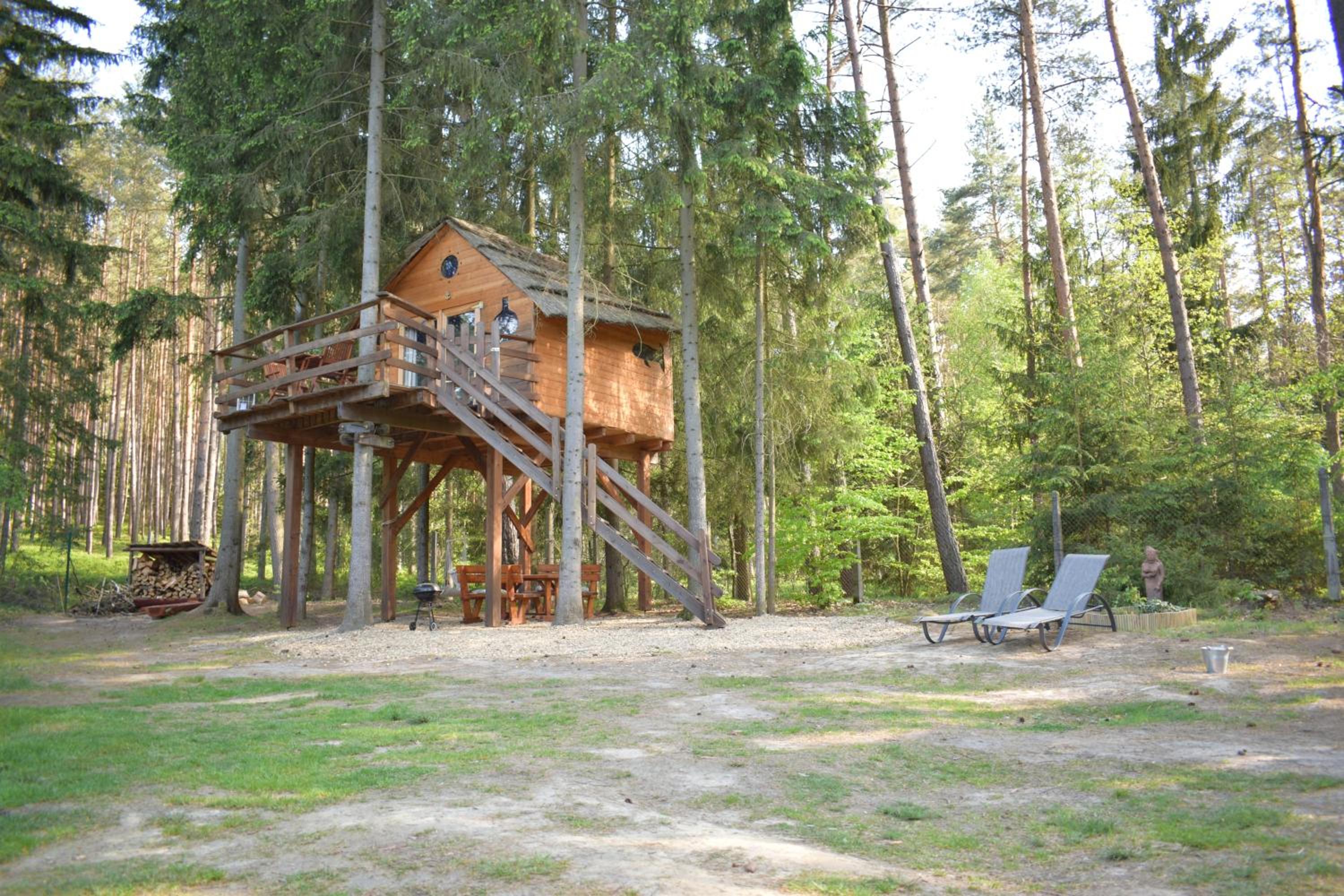 Treehouse U lesa