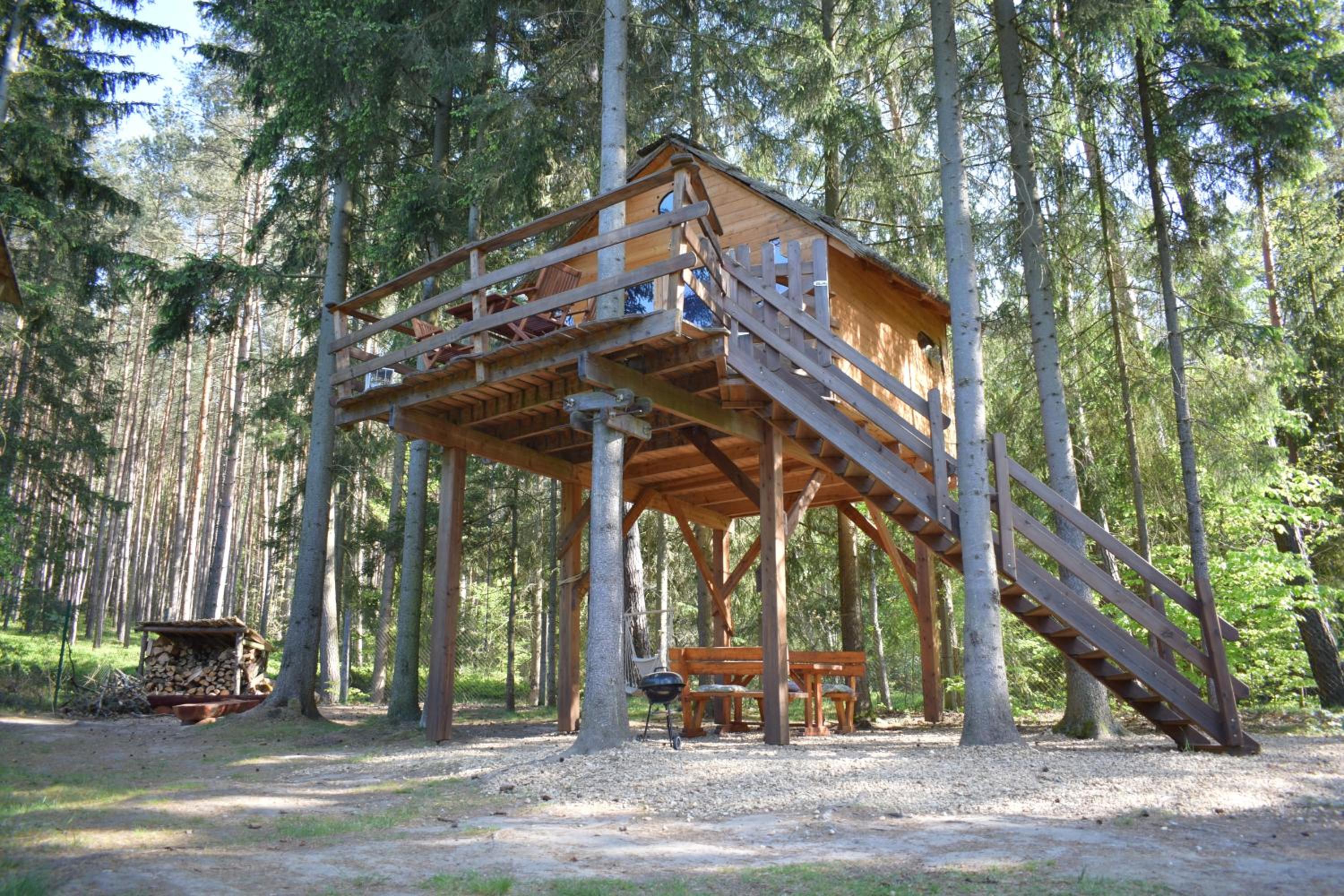 Treehouse U lesa