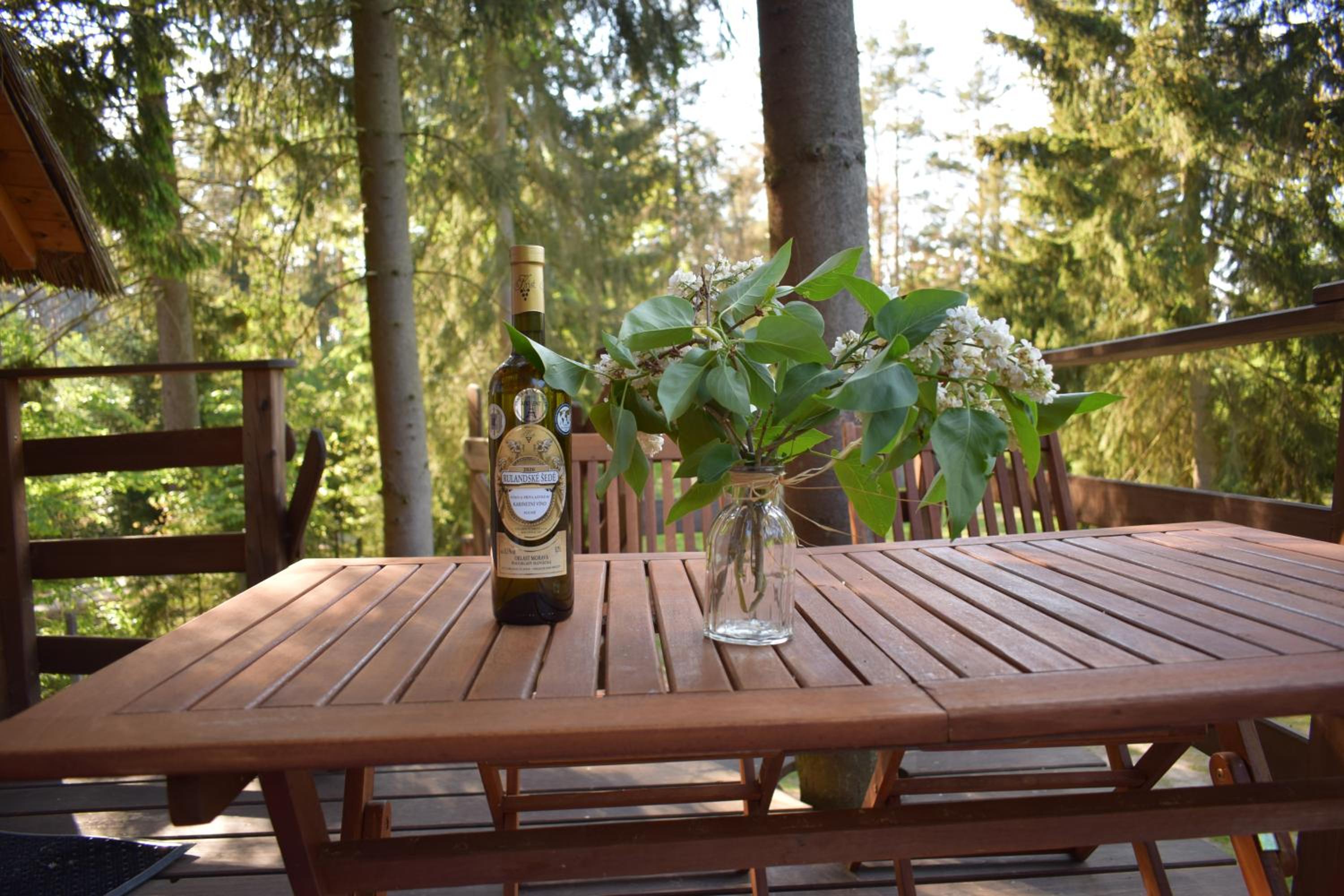 Treehouse U lesa