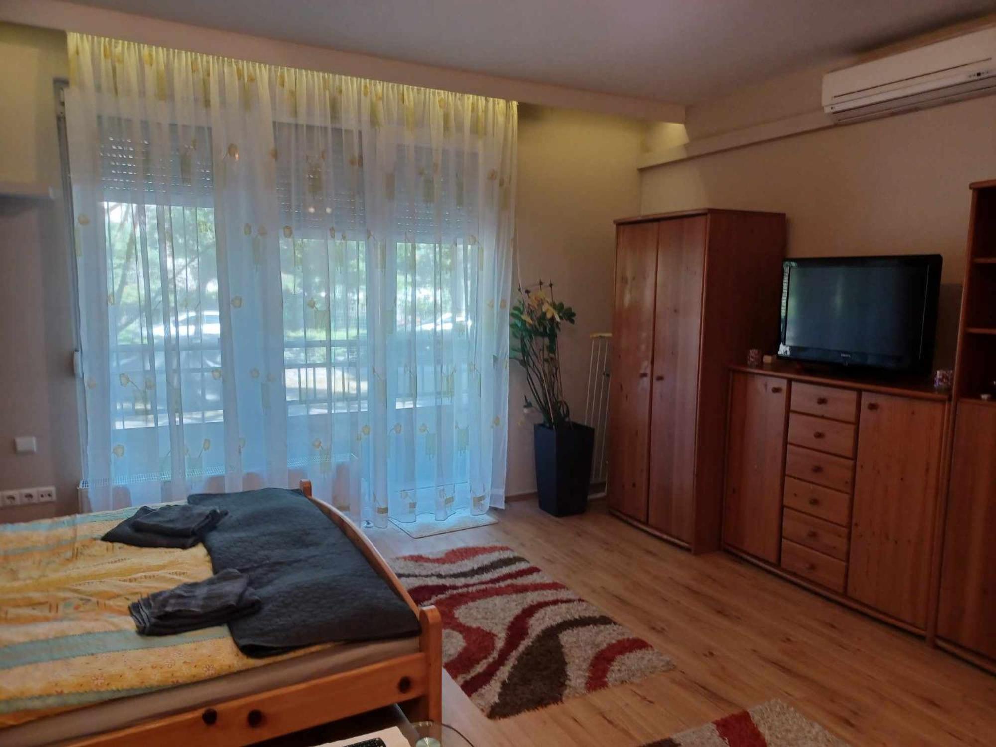 City Park Apartman view 2