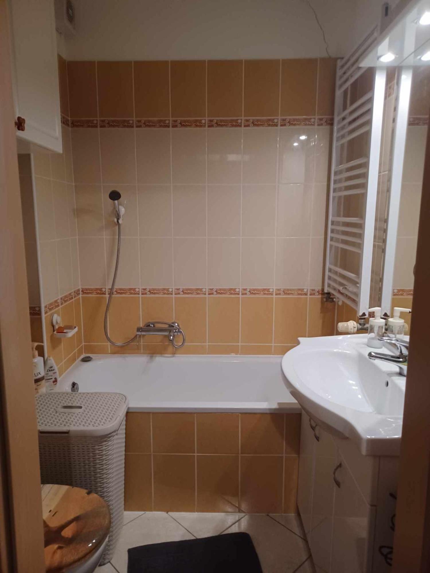 City Park Apartman view 4