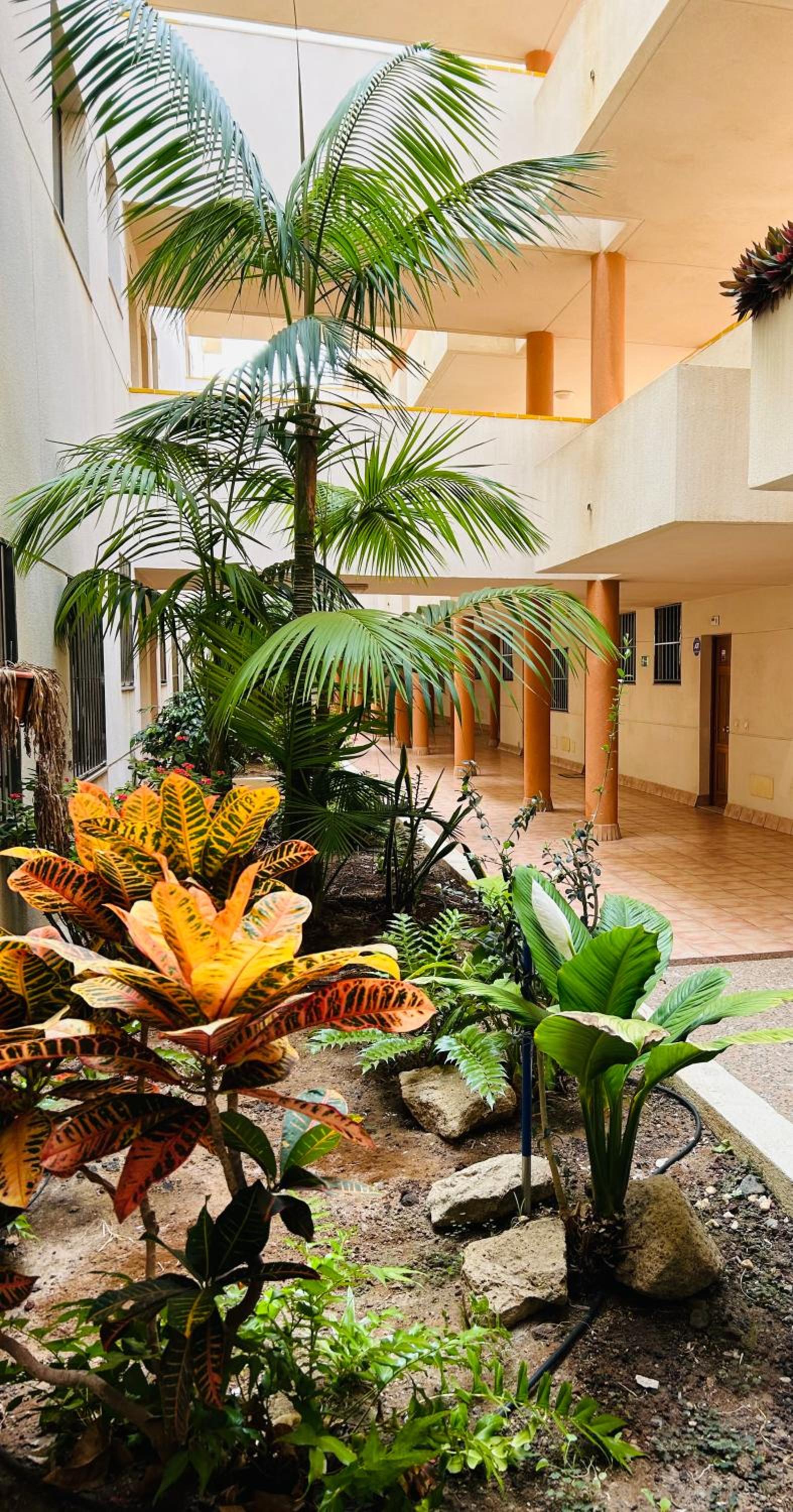El Medano La Ola. Cabezo Beach 2 rooms parking place view 5