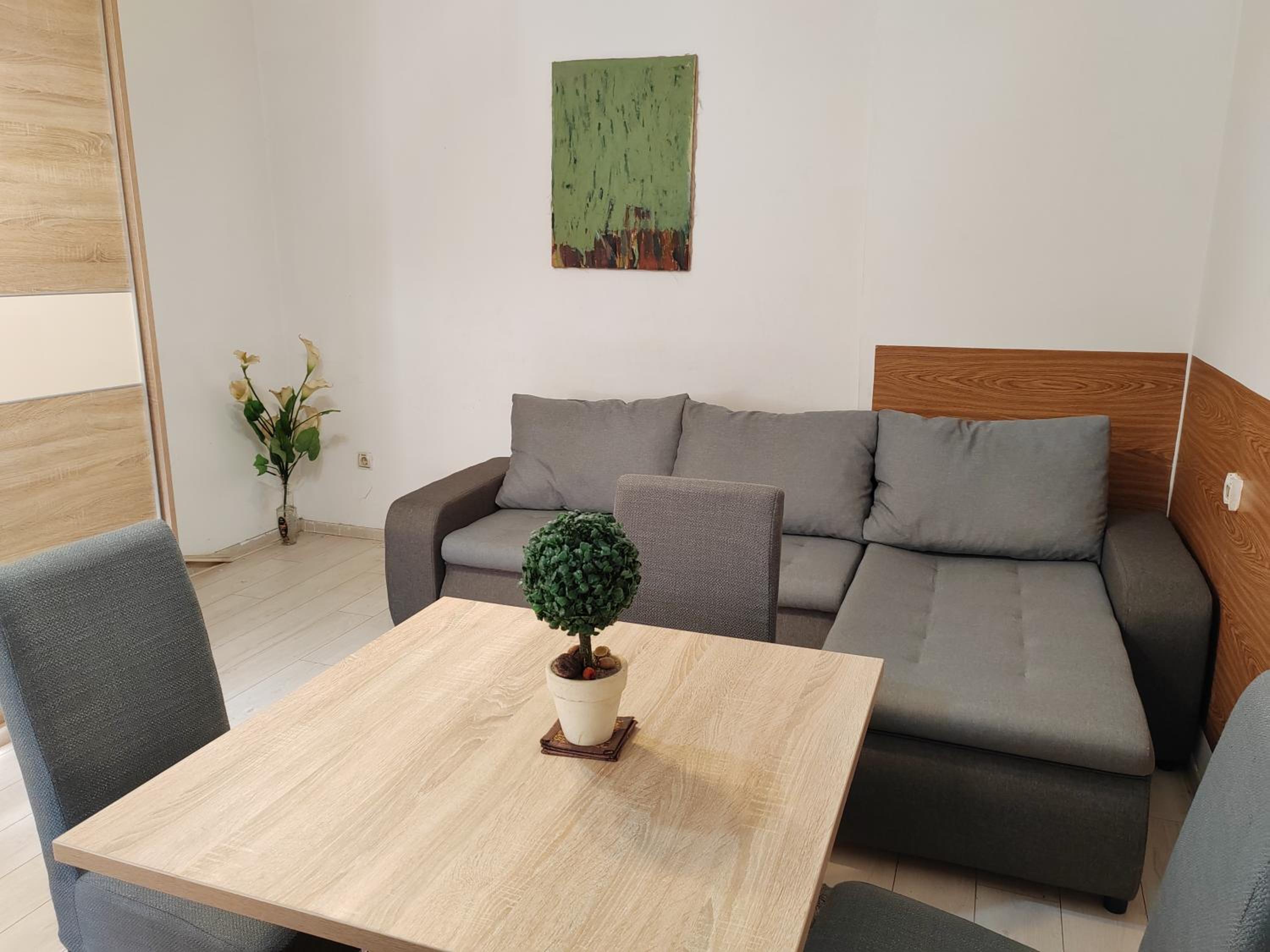 Belgrade Square 3 Apartment view 3