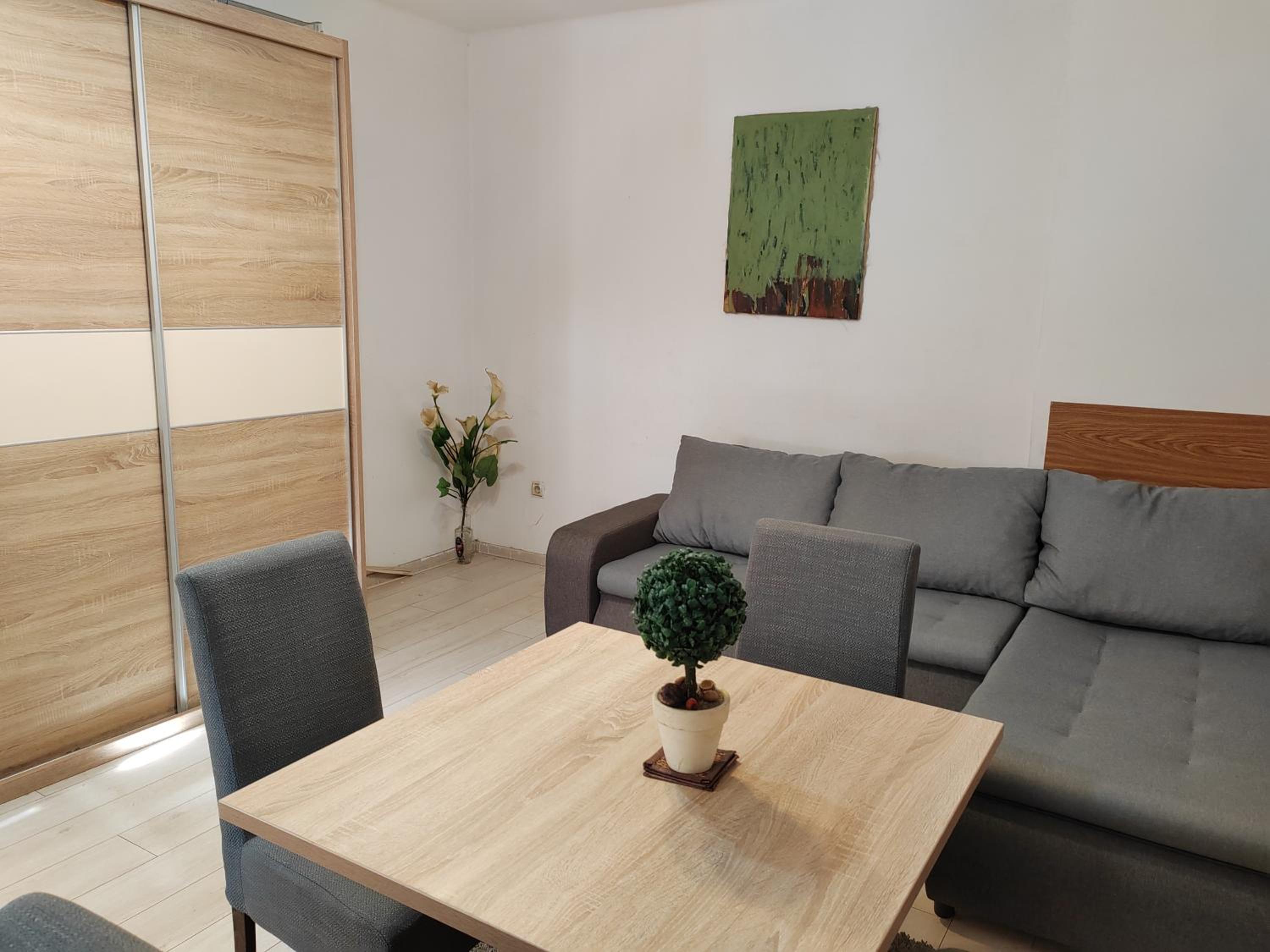 Belgrade Square 3 Apartment view 4