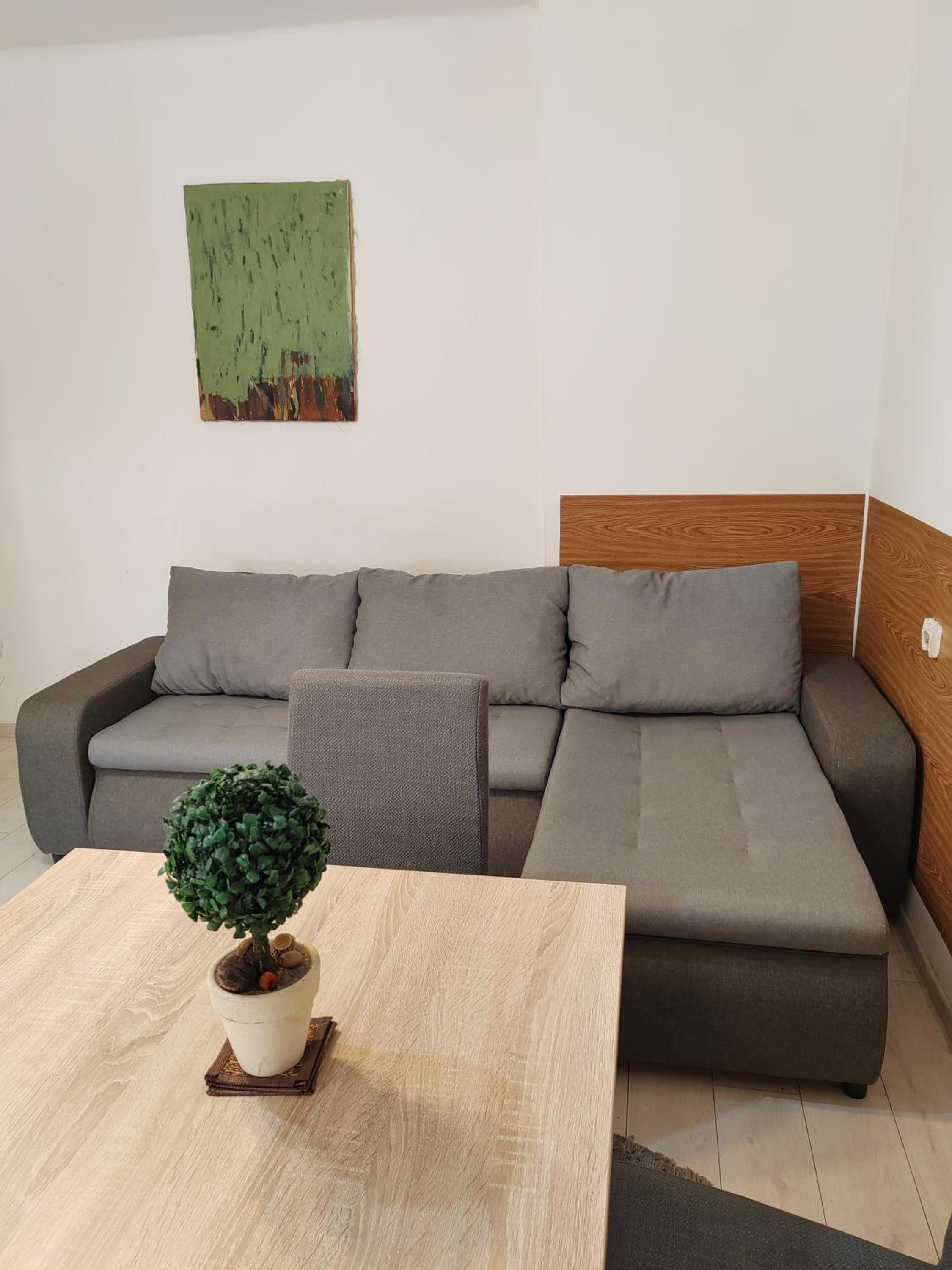 Belgrade Square 3 Apartment view 5
