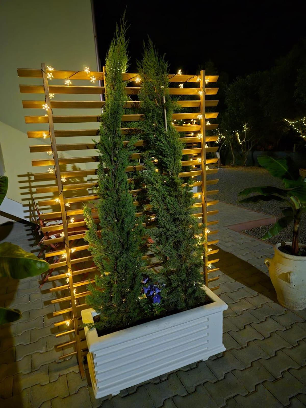 La Bouganvillea
