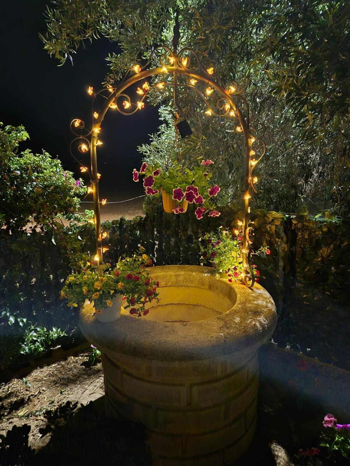 La Bouganvillea